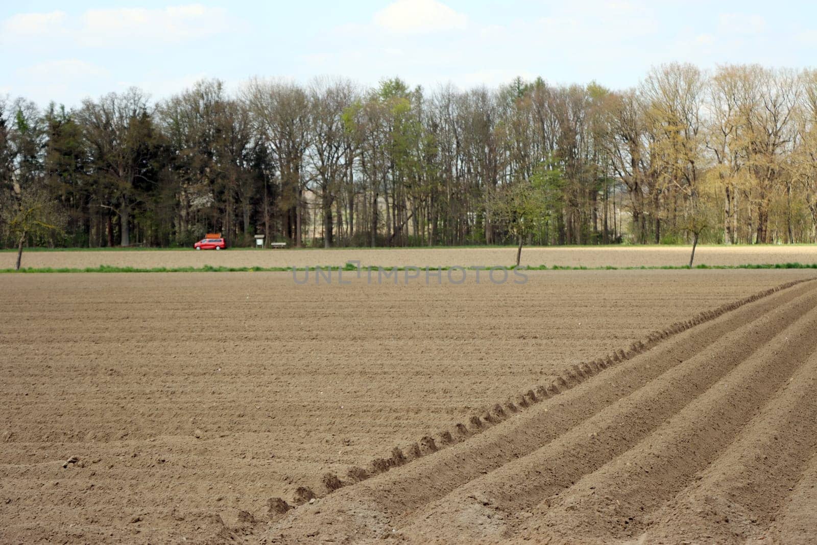 frisch bestelltes Kartoffelfeld, Niedersachsen, Deutschland, Oetzen