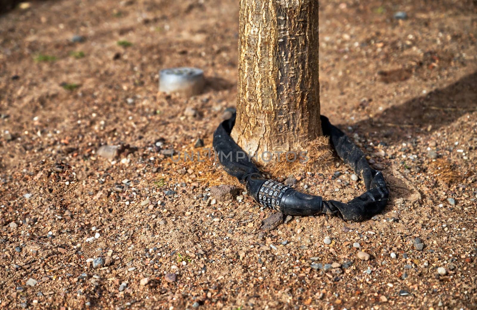 closeup view of a bicycle lock securing a tree, black combination lock, white numbers