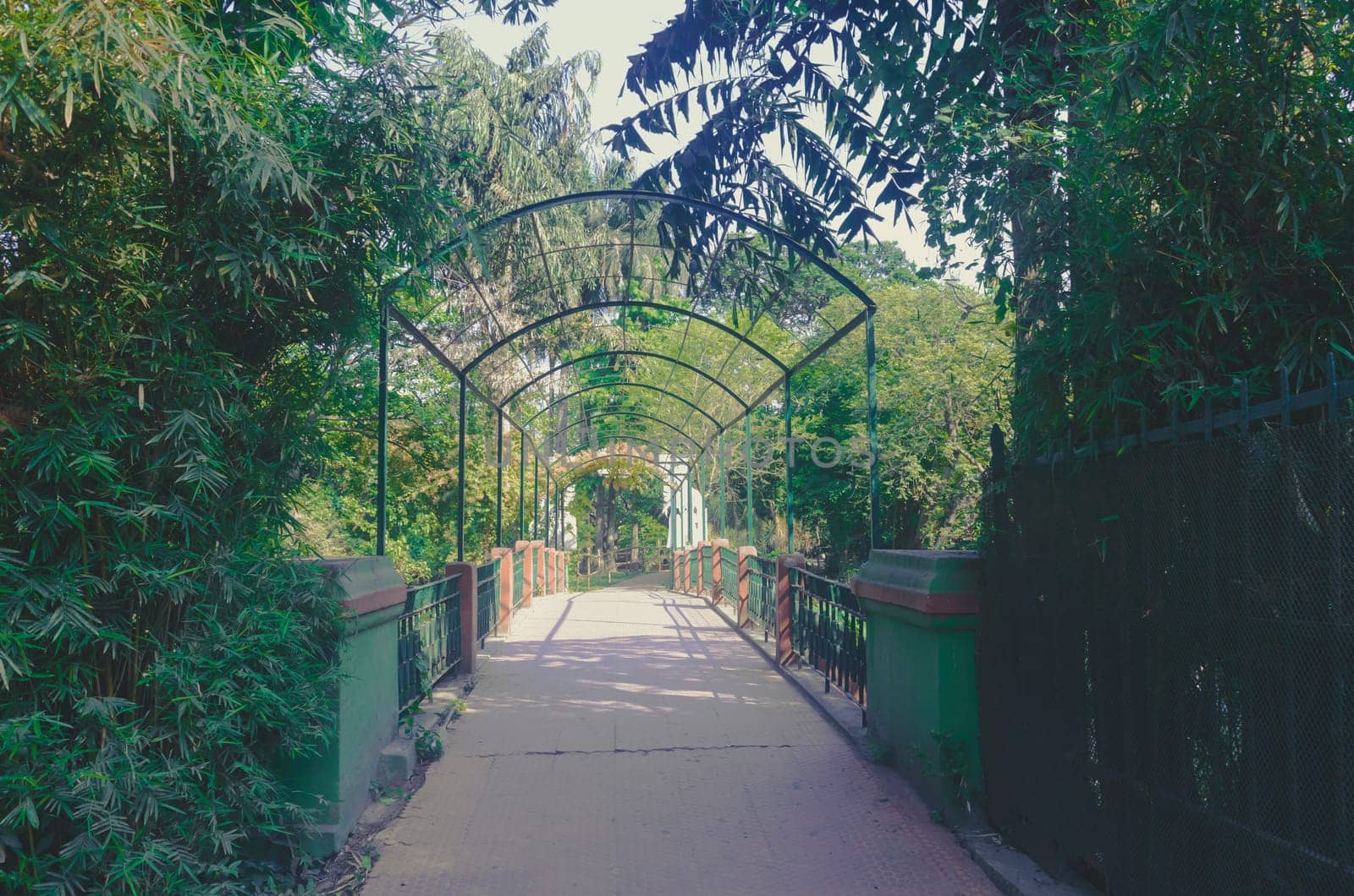 A bridge in garden.