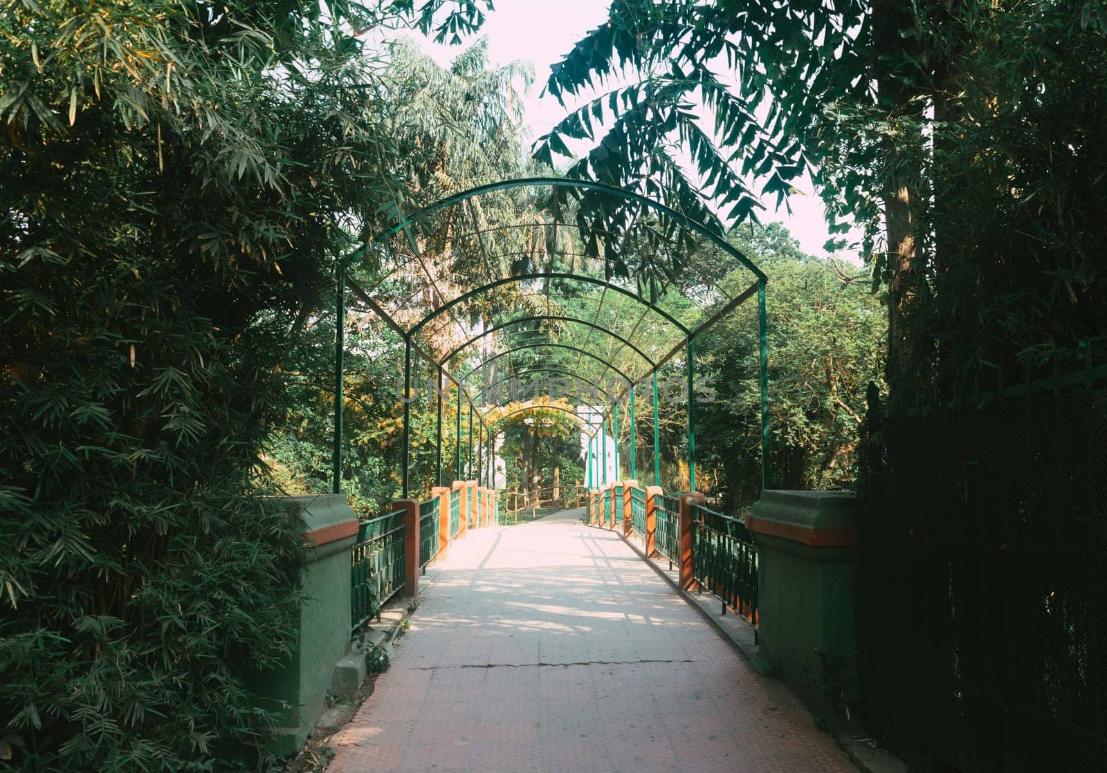 A bridge in garden.