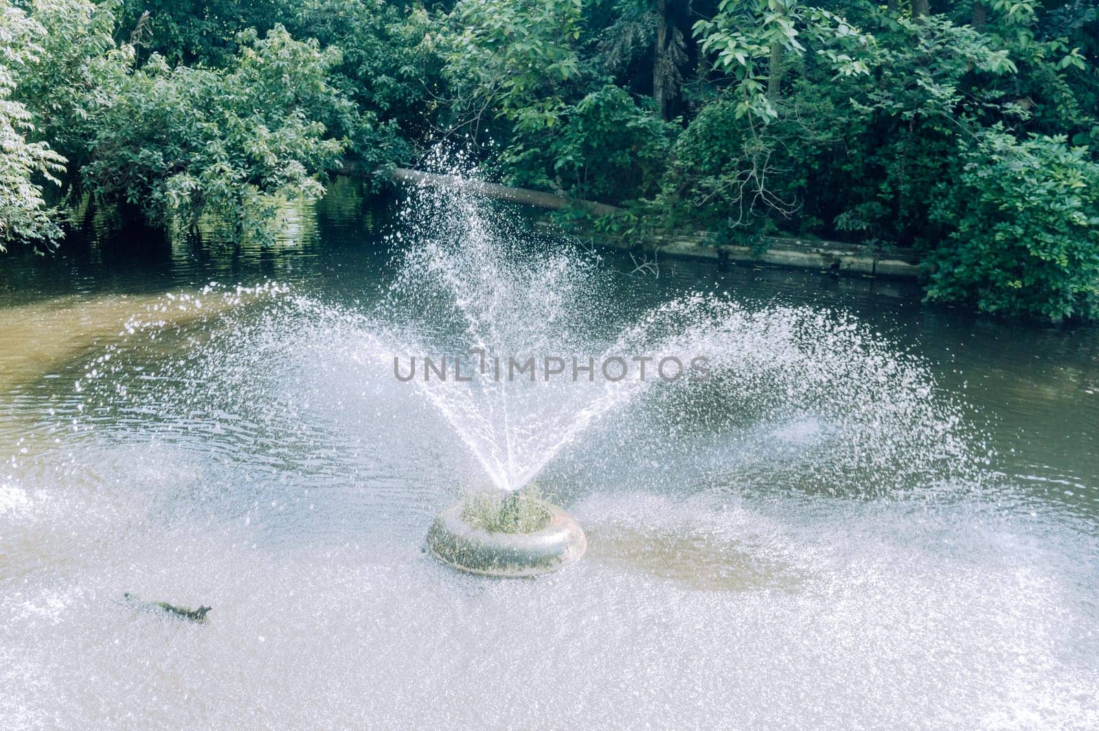 A beautiful water fountain in the forest.