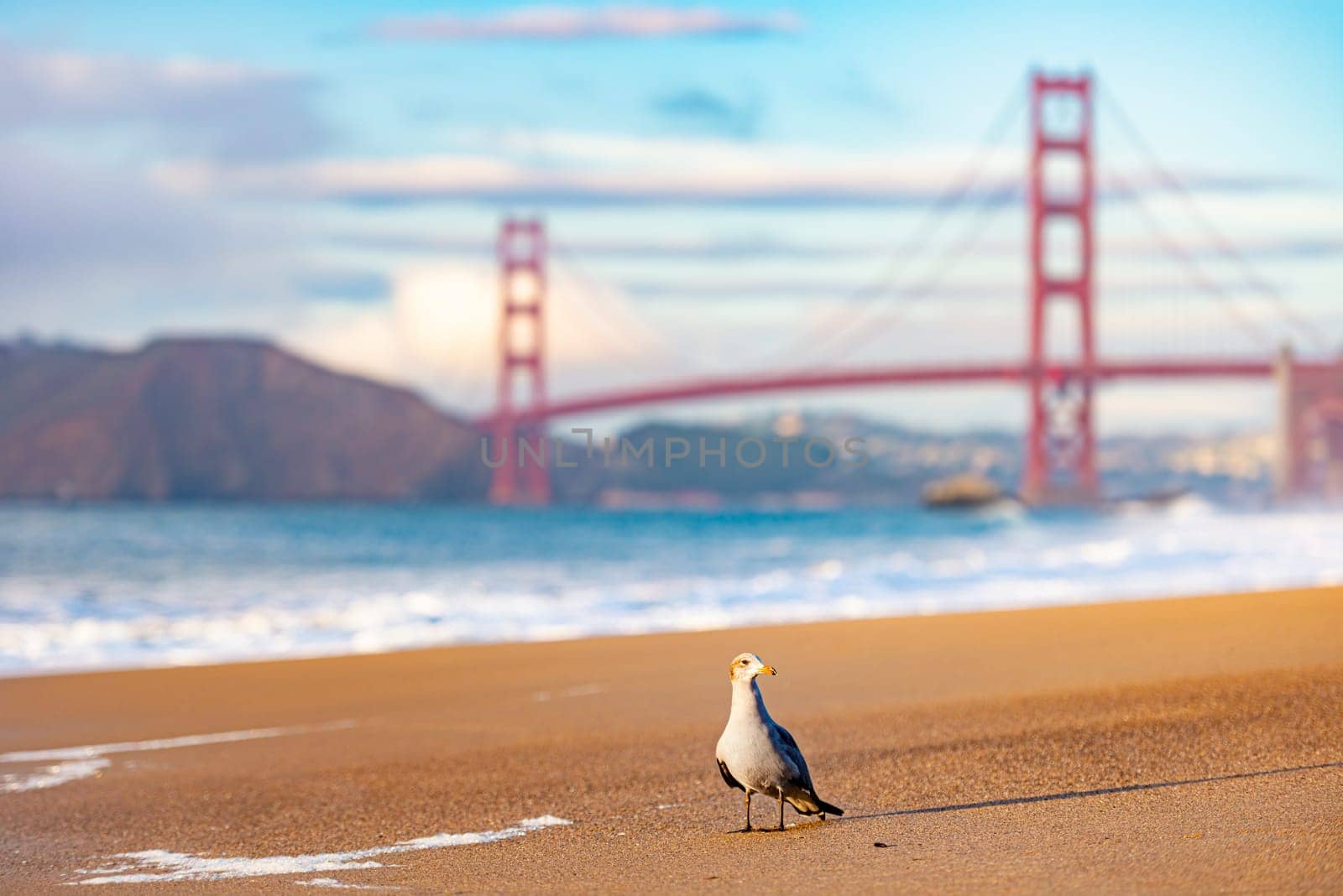 Golden gate bridge in bay of San Francisco, California, USA