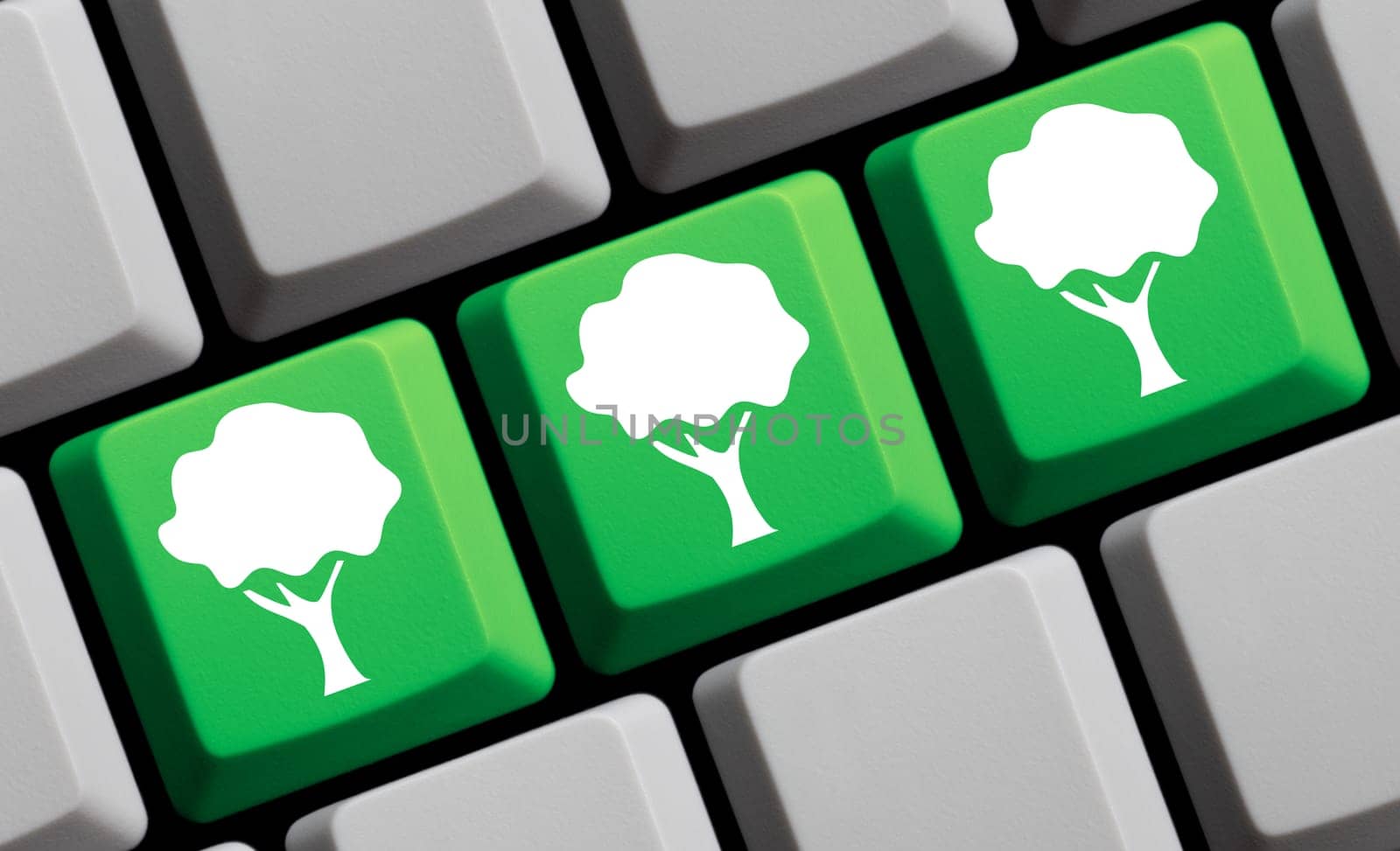 Computer keyboard 3d illustration - Forest and nature online
