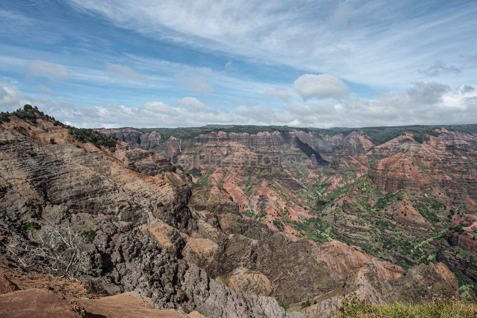 Waimea Canyon Hawaii's grand canyon