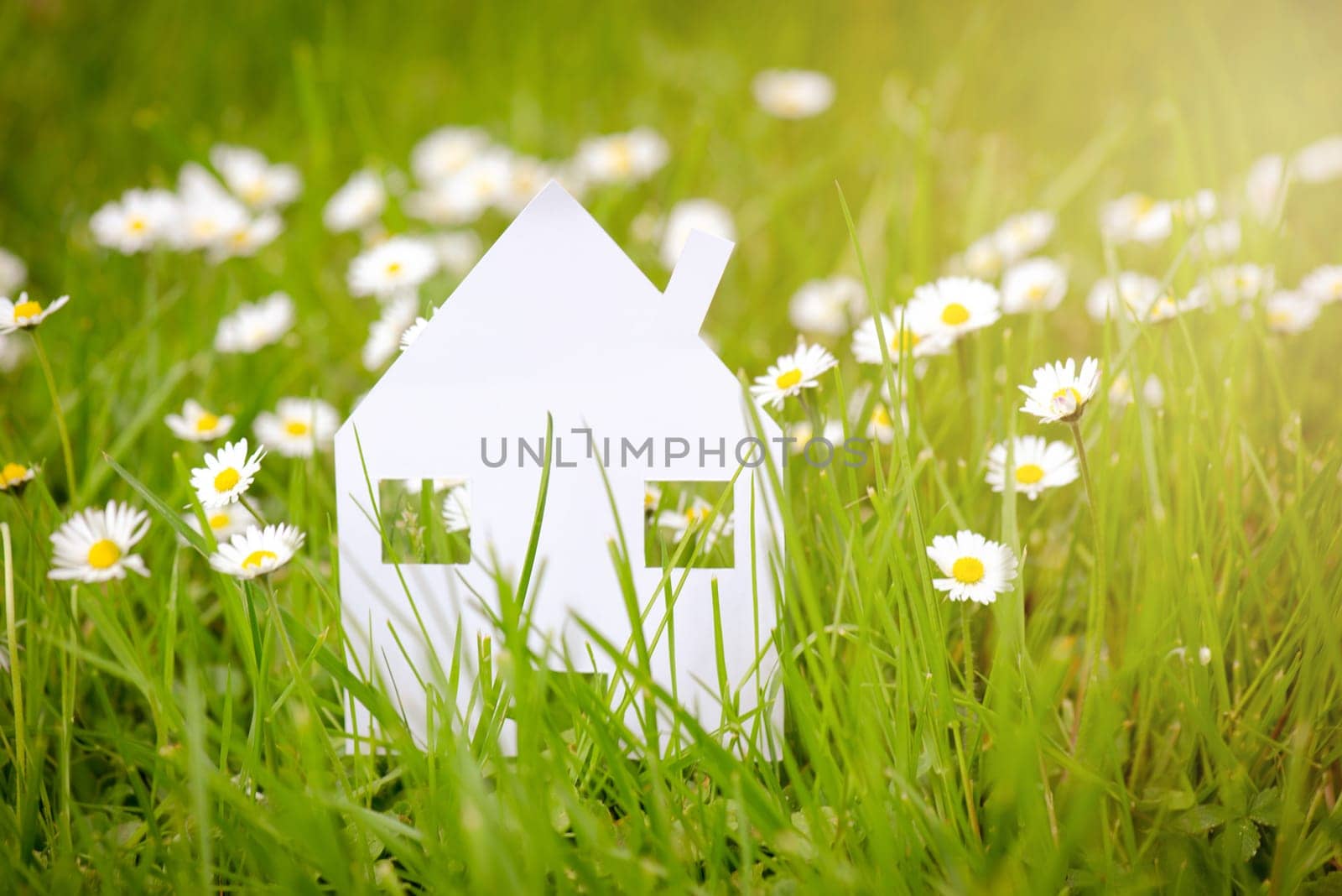 White house in a meadow, buying or renting a house in nature, real estate concept, booking home for vacation, copy space for text