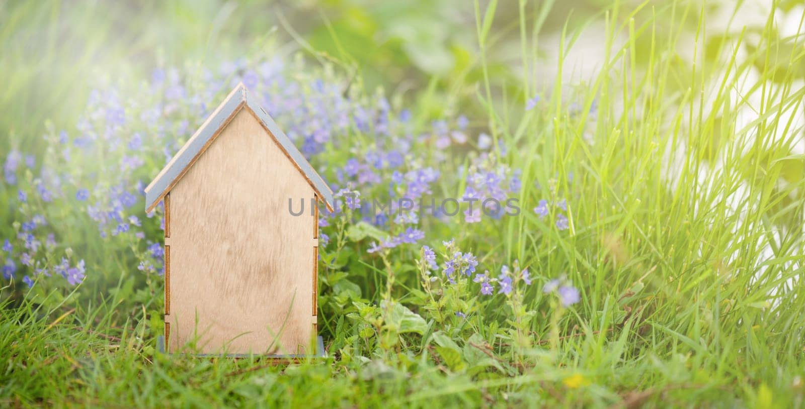 Wooden house in a meadow, buying or renting a house in nature, real estate concept, booking home for vacation, copy space for text