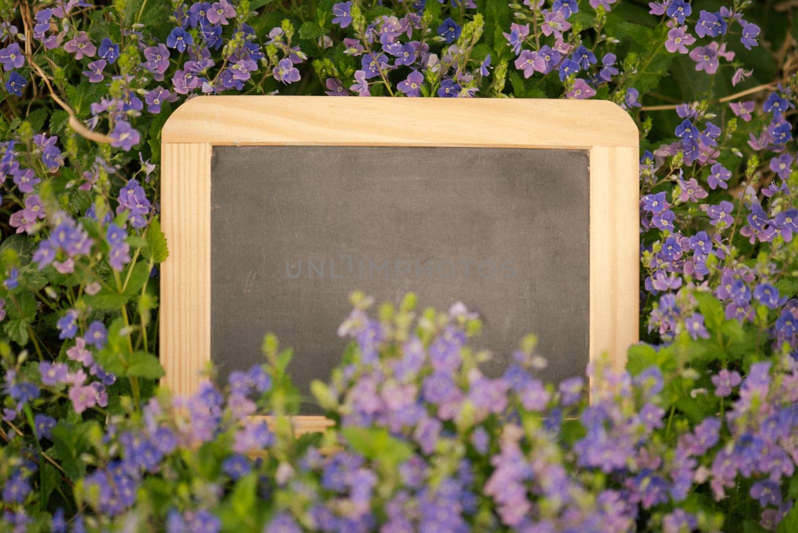 Empty chalkboard is standing in a meadow with flowers, copy space for text, mothers day greeting card, advertising and marketing background, spring and summer season