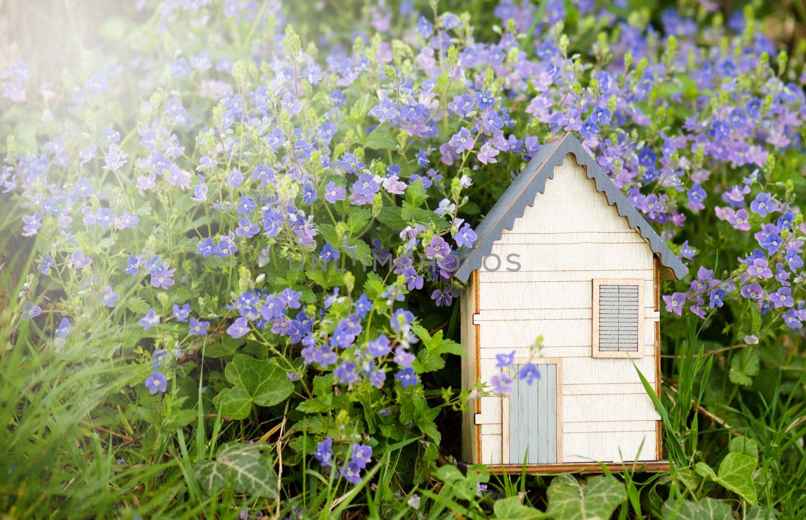 Wooden house in a meadow, buying or renting a house in nature, real estate concept, booking home for vacation, copy space for text