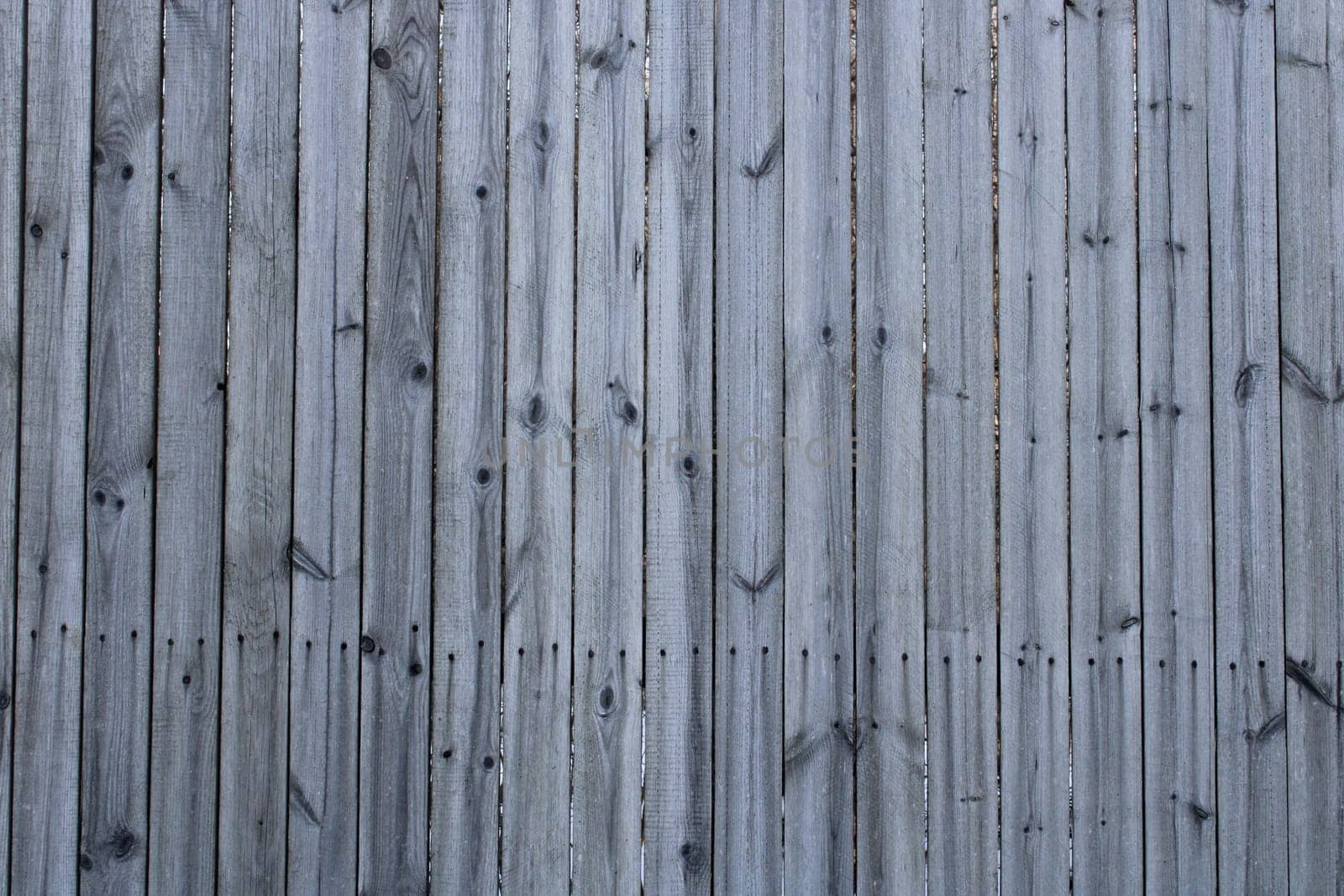 The background is made of light gray wooden boards. Private house, farm..