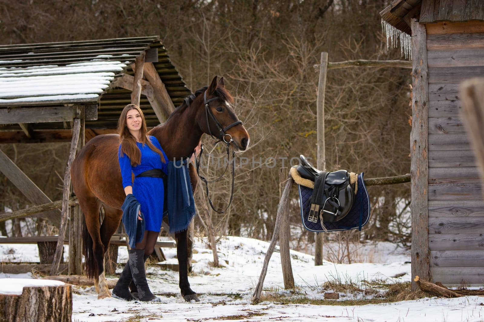 A beautiful girl in a short blue dress walks with a horse near the farm in winter