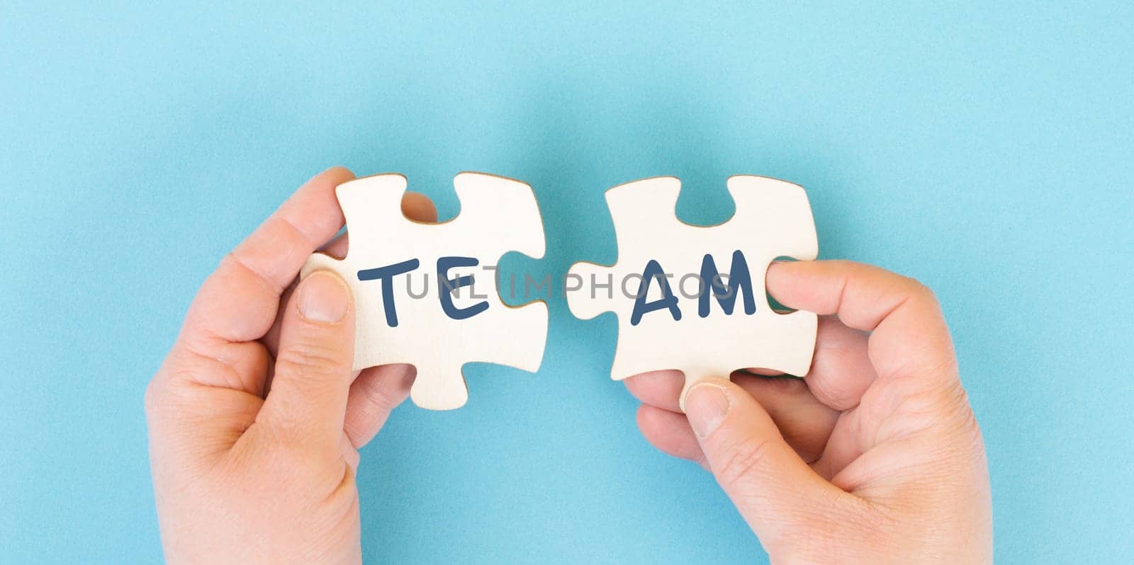 The word team is standing on puzzle pieces, connect the parts together, corporate in teamwork, communication and support concept