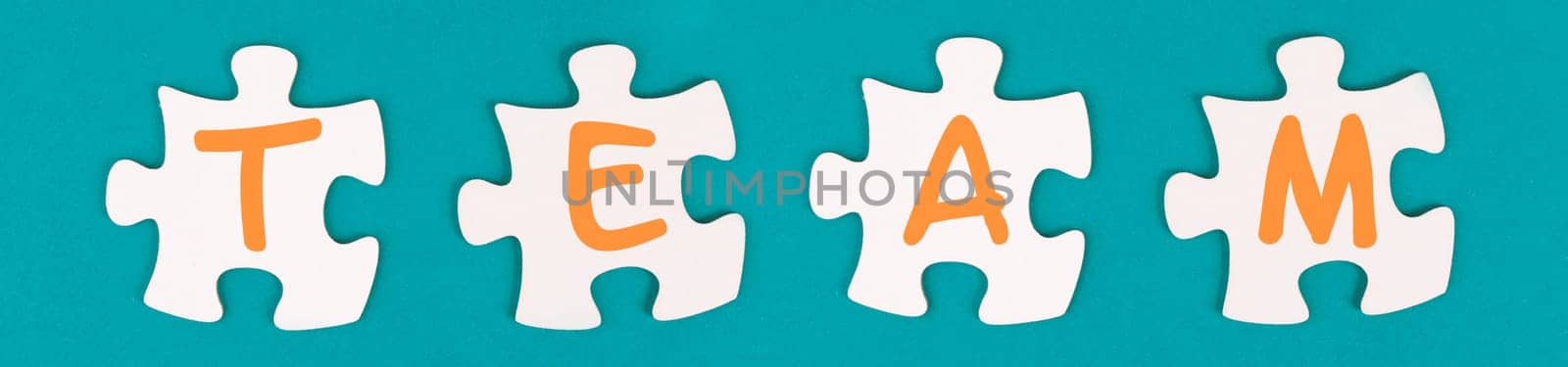 The word team is standing on puzzle pieces, connect the parts together, corporate in teamwork, communication and support concept