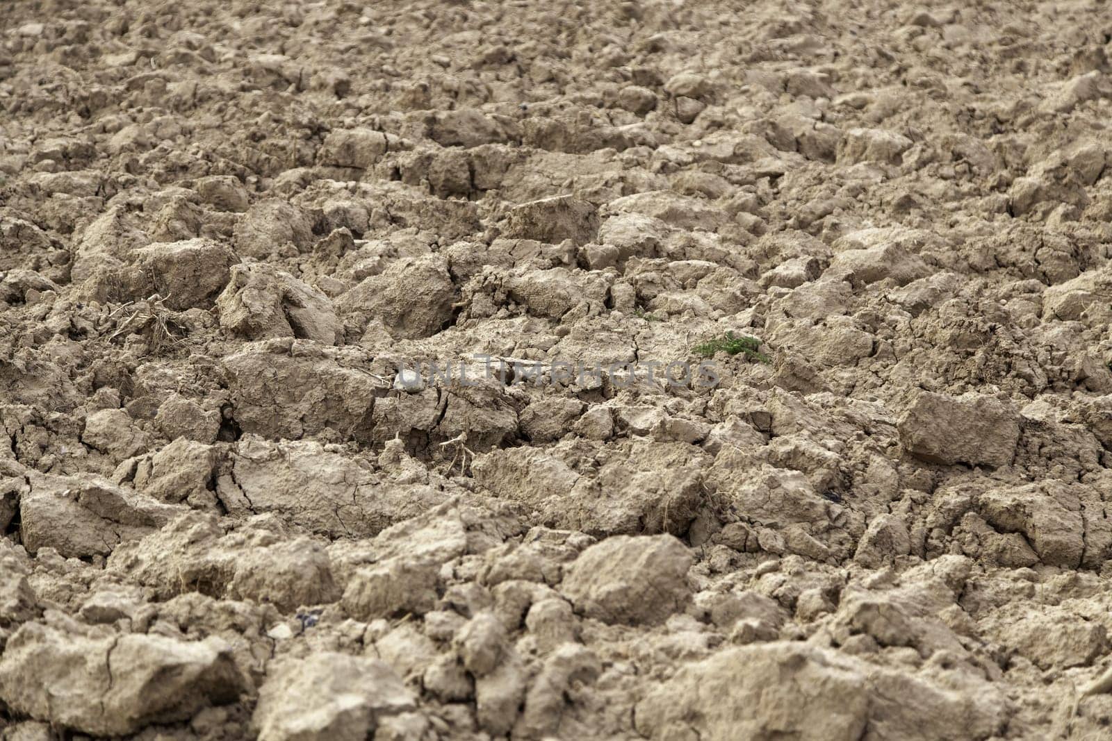 Detail of dry and arid land prepared for growing vegetables