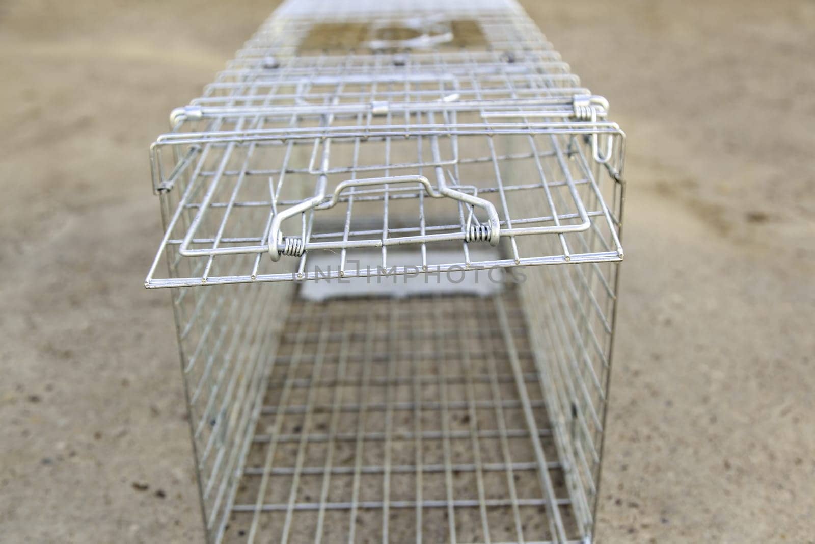 Detail of a cage to hunt wild cats in the city, animal care and protection