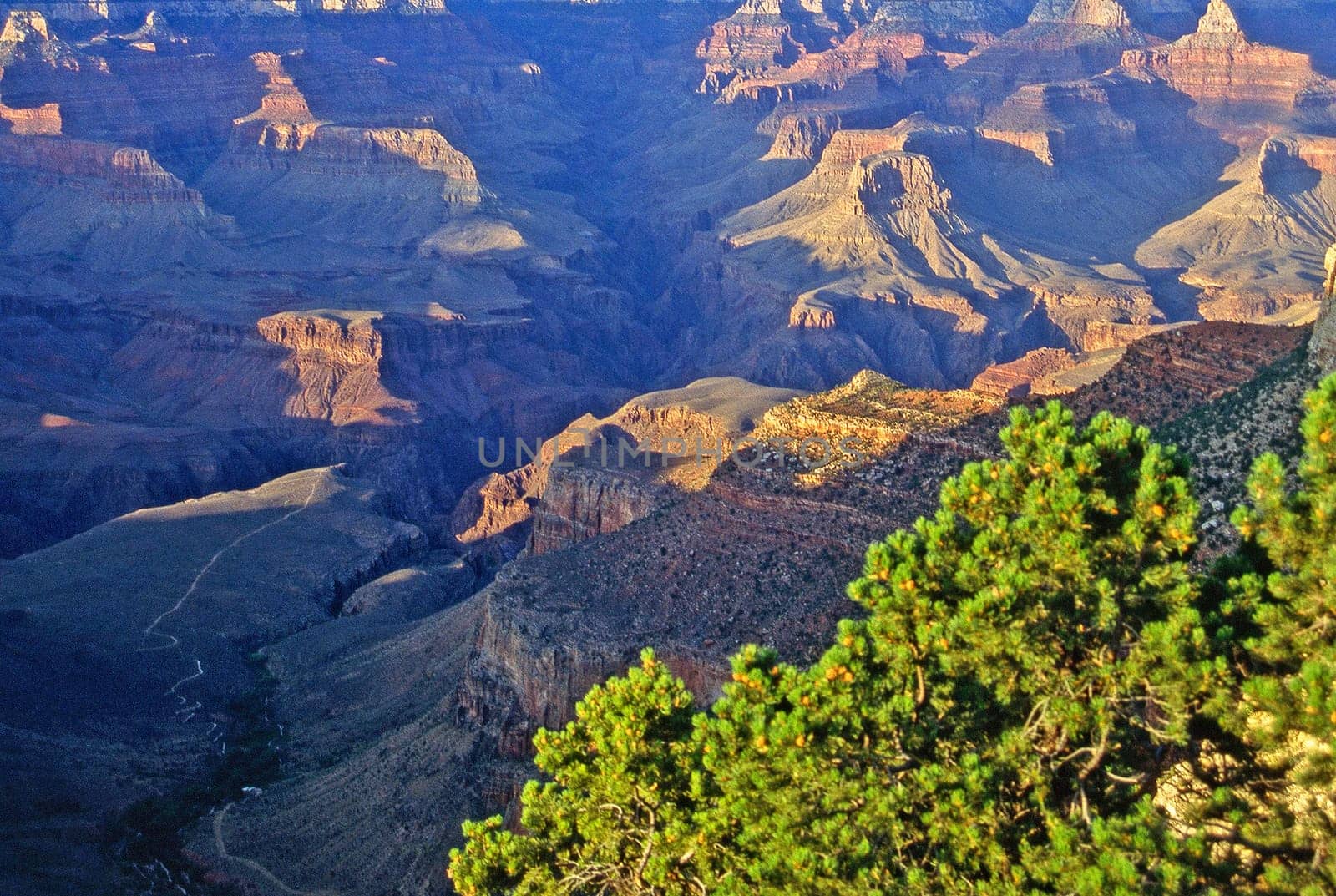 View ofn the Grand Canyon in Arizona