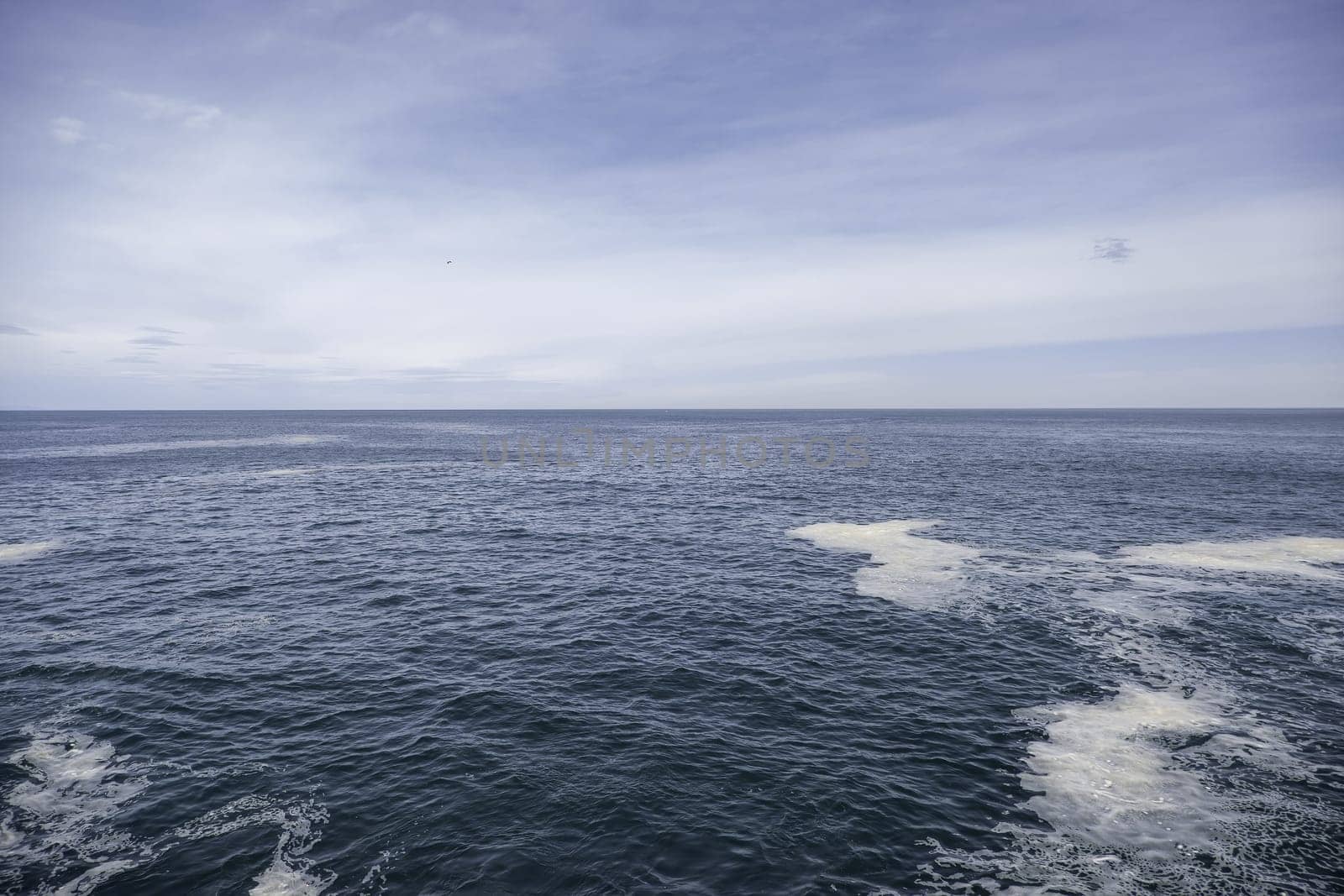 Detail of the Cantabrian sea, water and nature