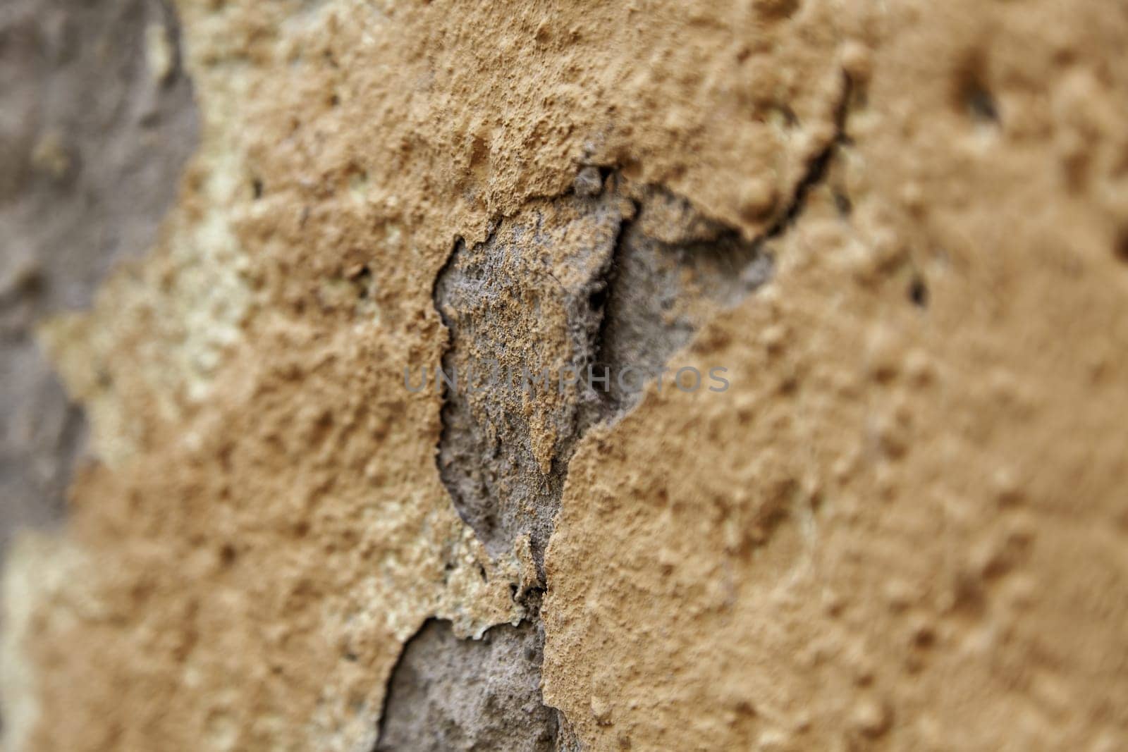 Detail of ruin and passage of time on a facade