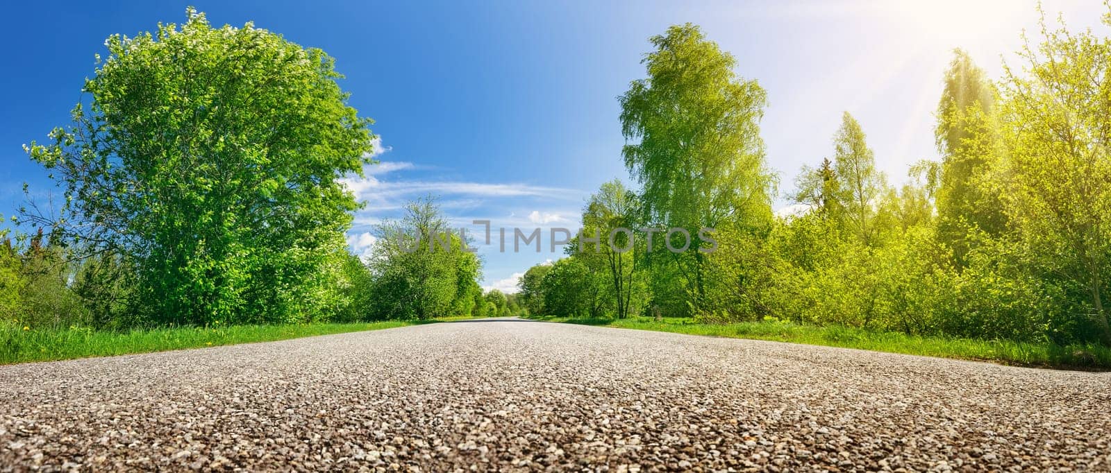 Close-up panoramic view of the asphalt highway in natural park. Dimenition perspective. Concept of the traveling and road trip.