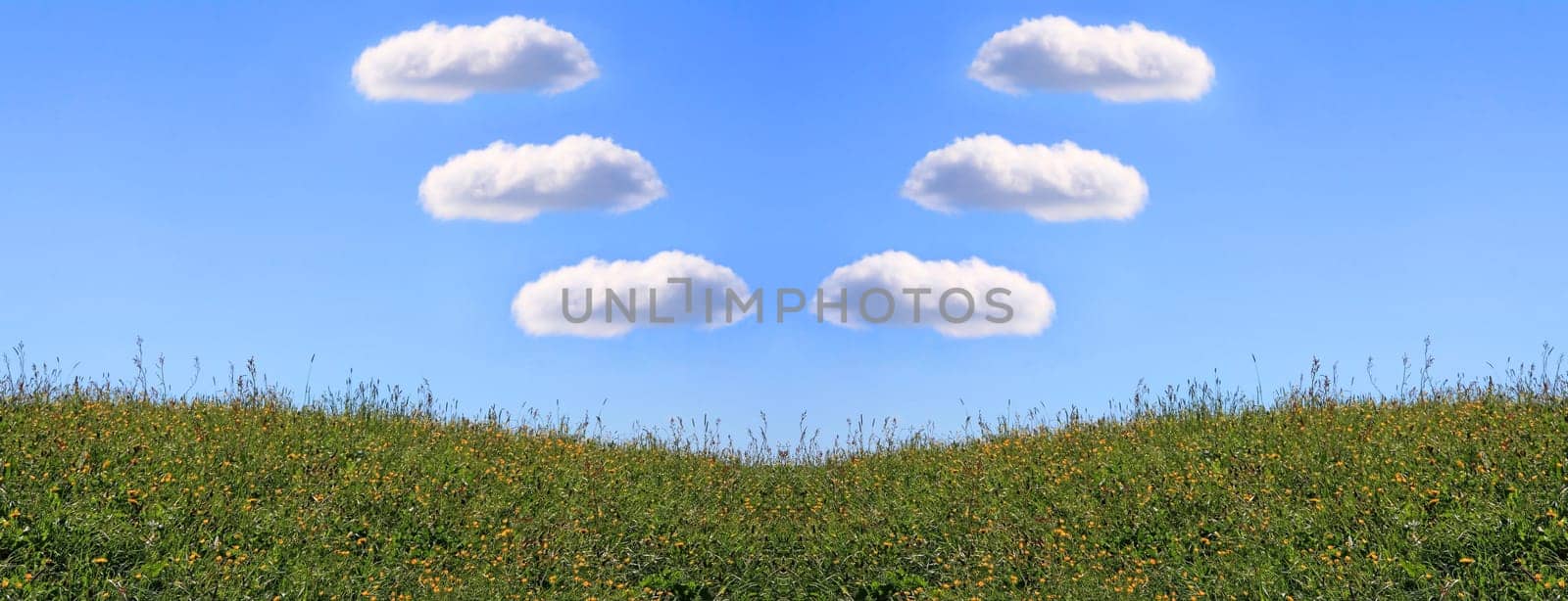 Six white clouds as V over flower meadow in blue sky