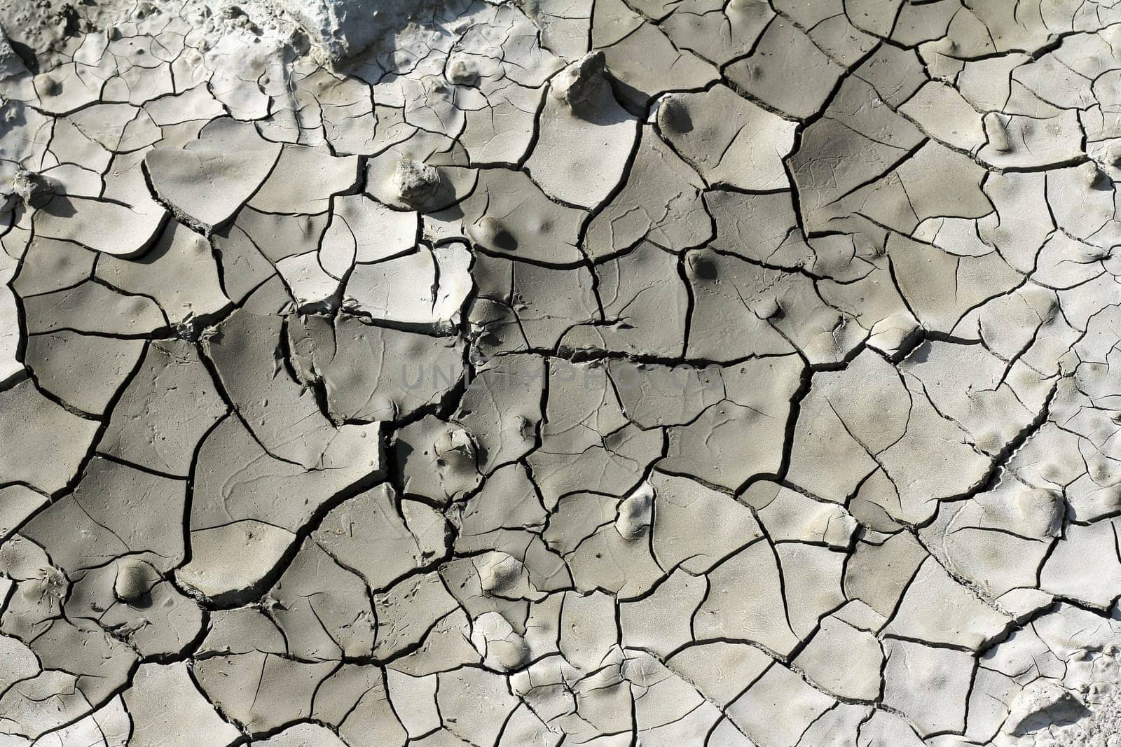 A dried up cracked bottom on a lake
