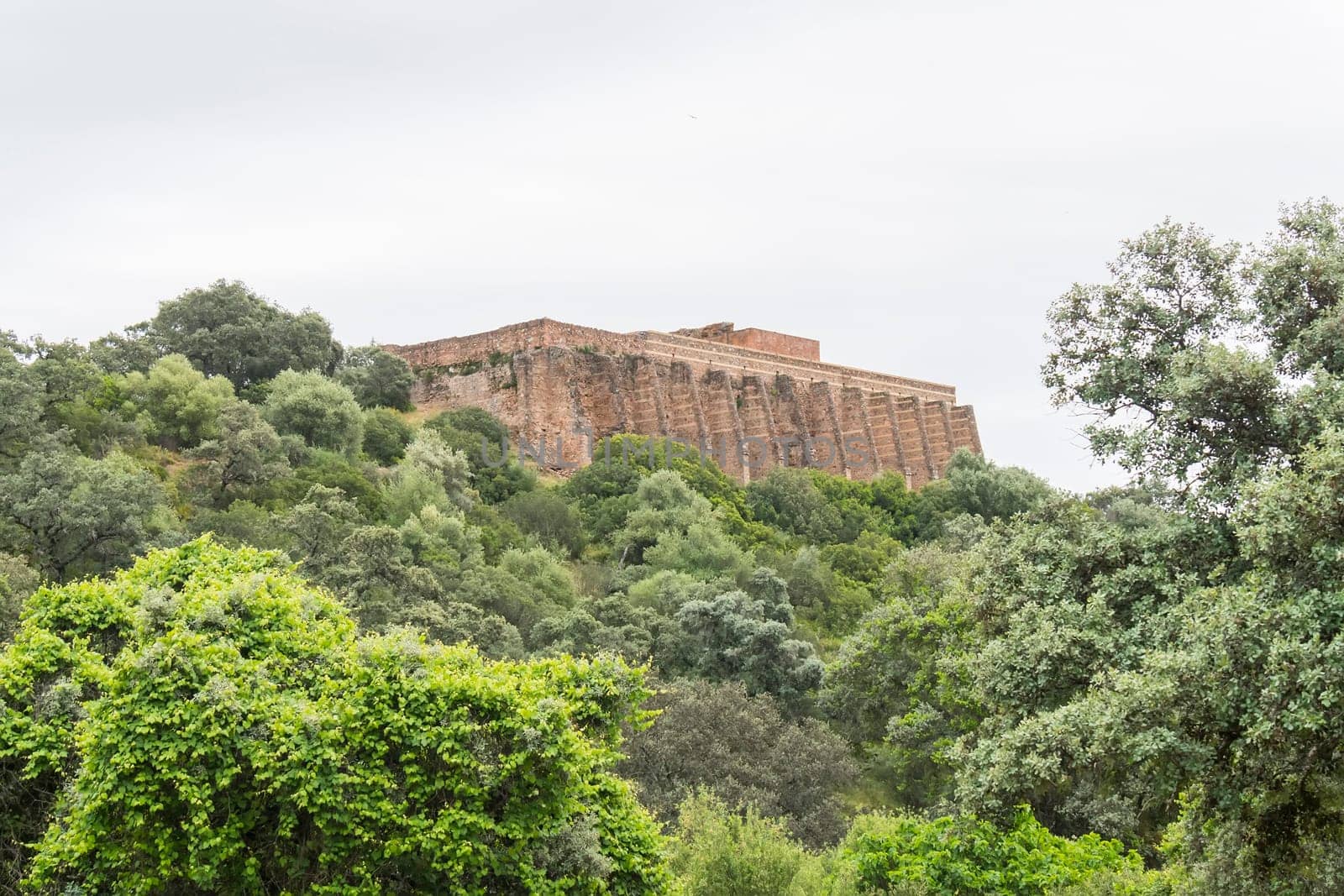 Roman archaeological site of Munigua in Seville (Spain)