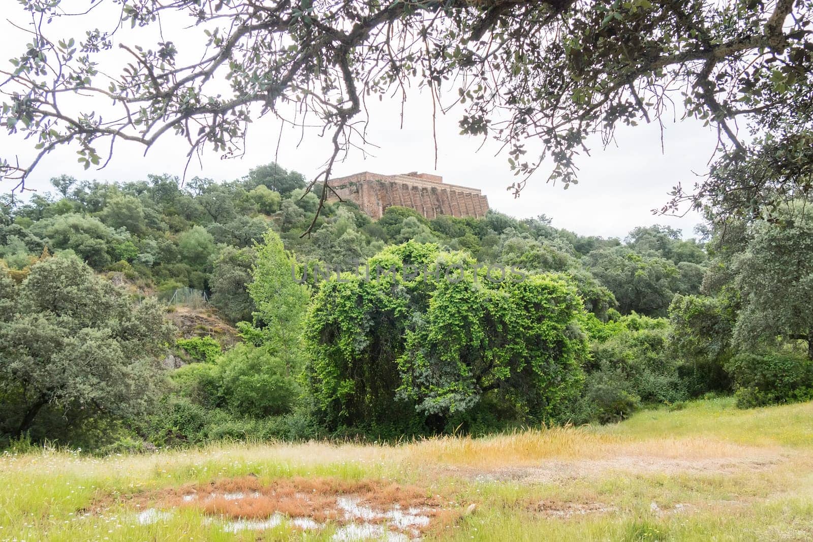 Roman archaeological site of Munigua in Seville (Spain)