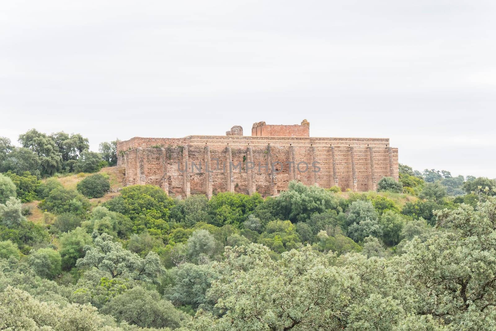 Roman archaeological site of Munigua in Seville (Spain)