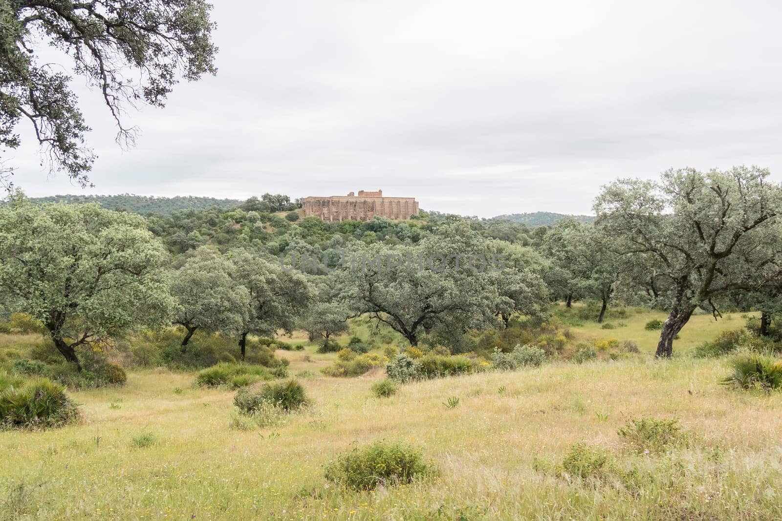 Roman archaeological site of Munigua in Seville (Spain)