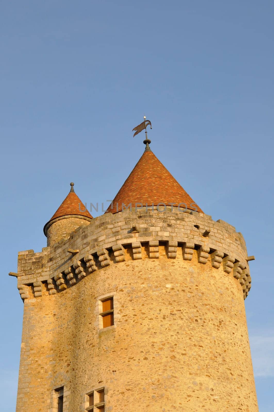 Castle of Blandy les Tours in Seine et Marne
