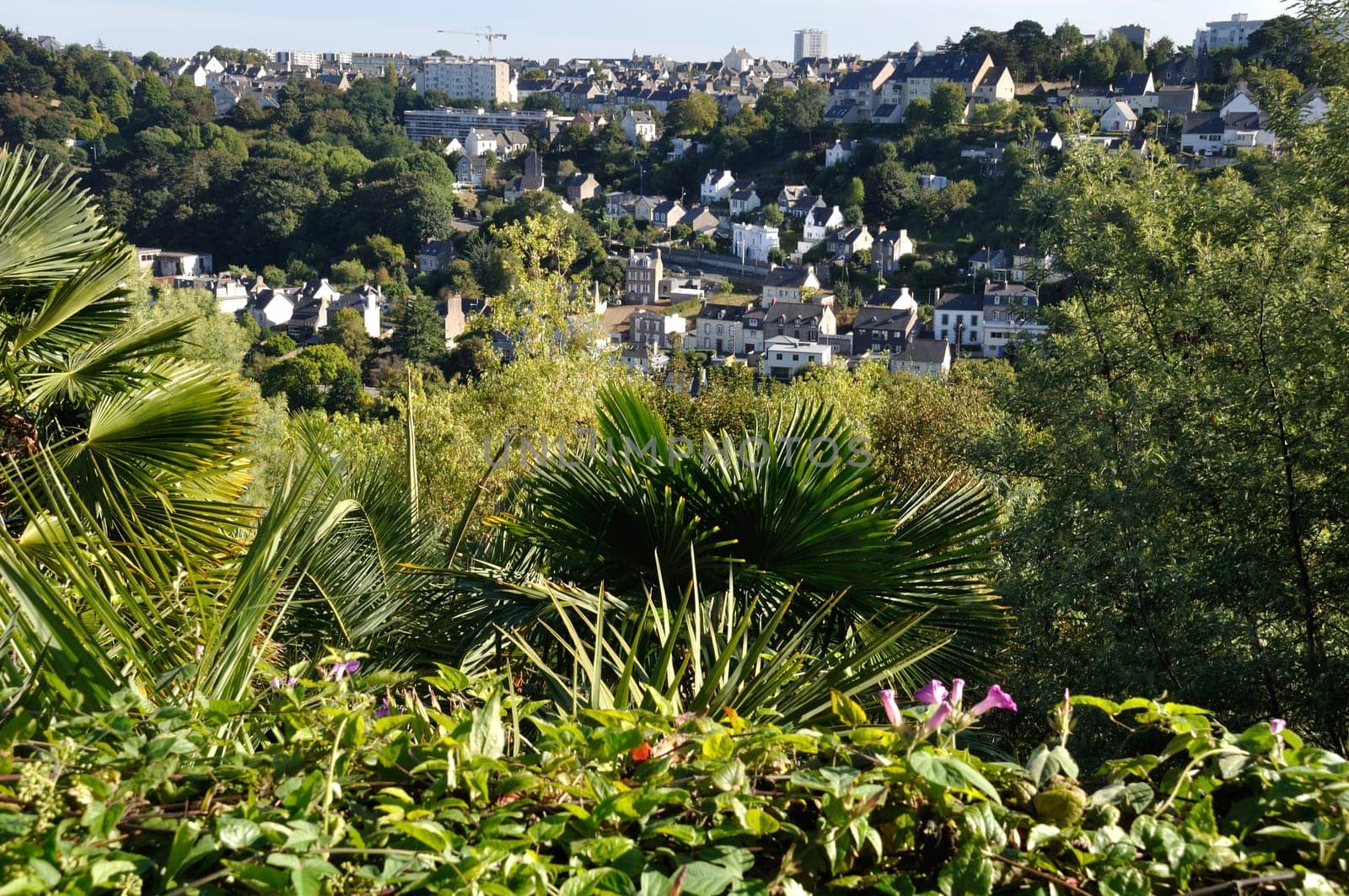 Saint-Brieuc  in Brittany, houses on hill