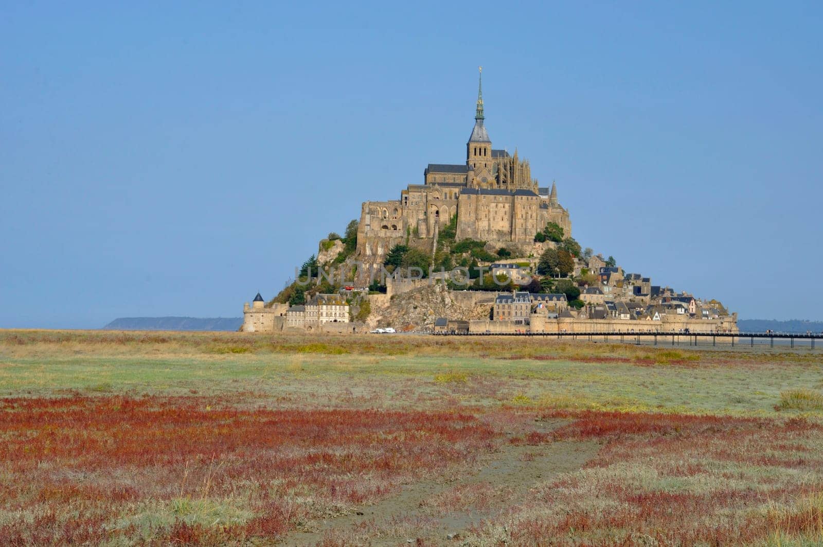 Mont Saint Michel and salt marshes