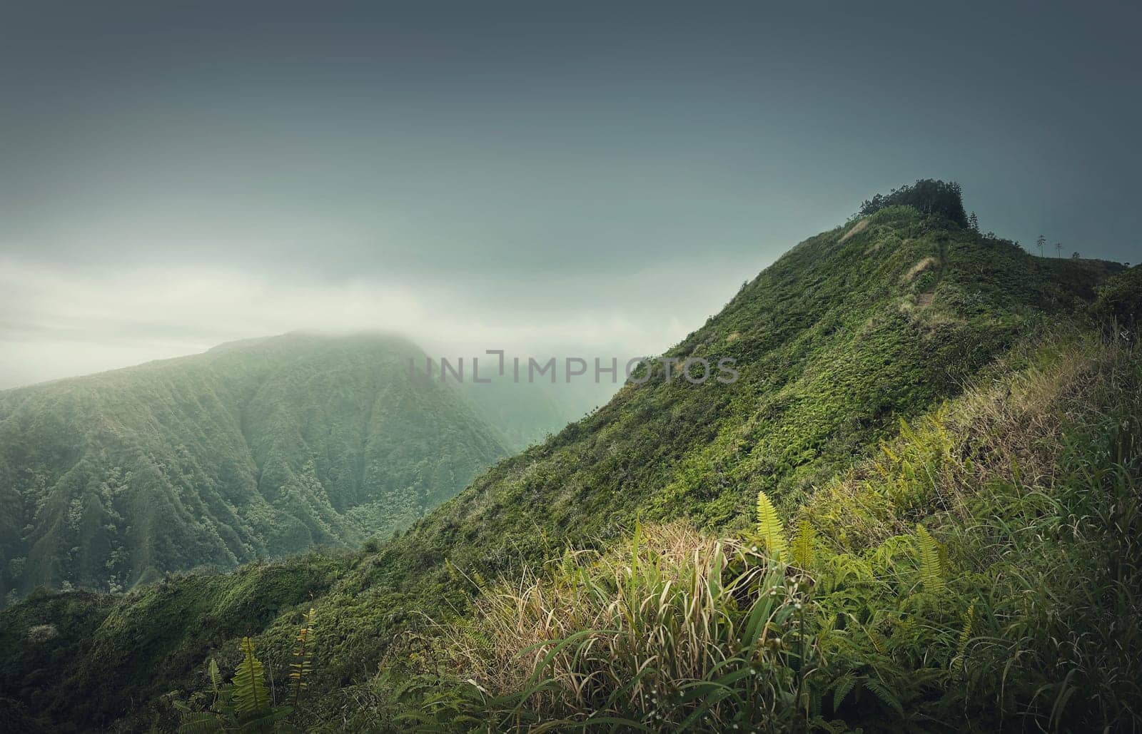 Beautiful view to the green hills in Hawaii, Oahu island. Hiking mountains landscape with vibrant tropical vegetation. Moody weather with foggy clouds over the valley