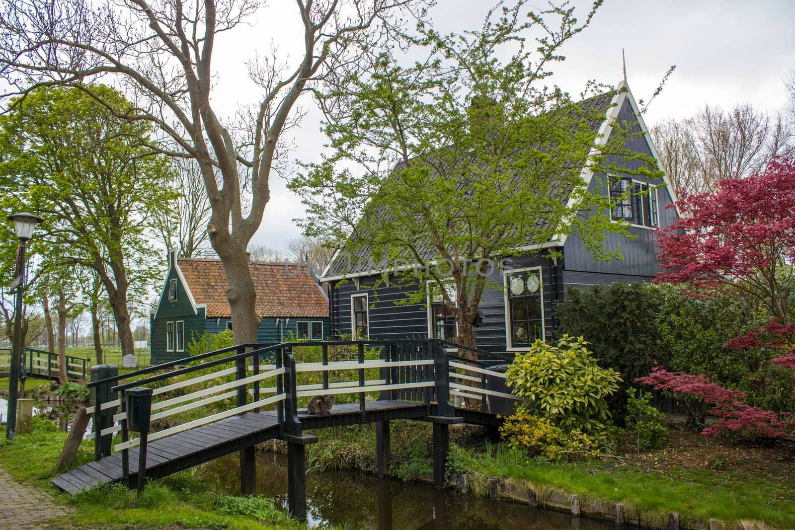 Traditional Houses in the Historic Village of Zaanse Schans on the Zaan River in the Netherlands