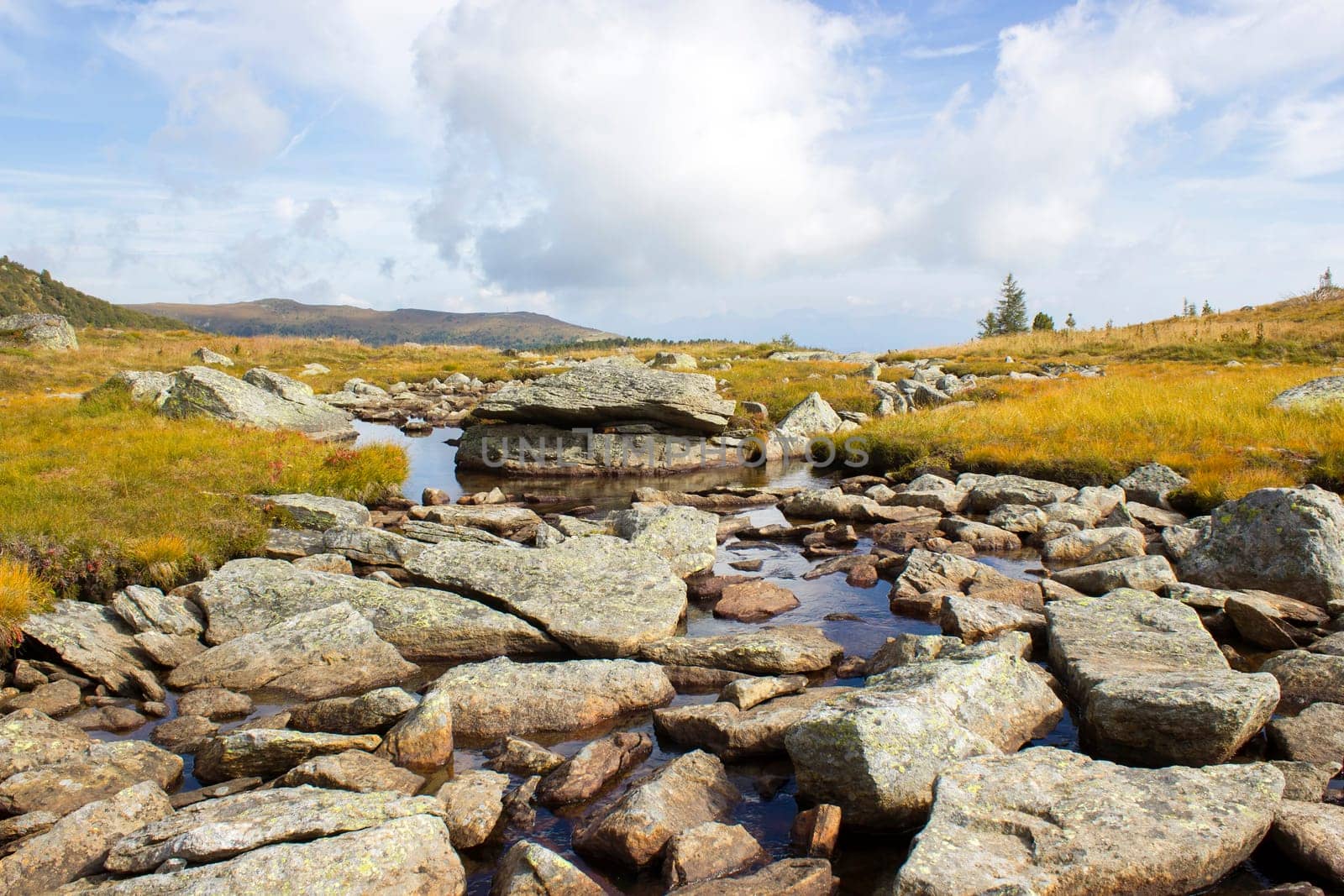 A clear mountain stream on the green meadows in the Austrian Alps, Steiermark, Austria