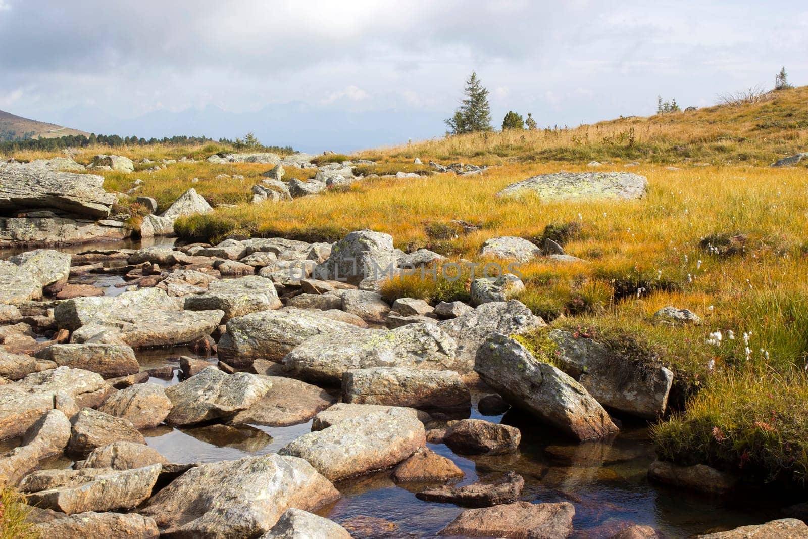 A clear mountain stream on the green meadows in the Austrian Alps, Steiermark, Austria