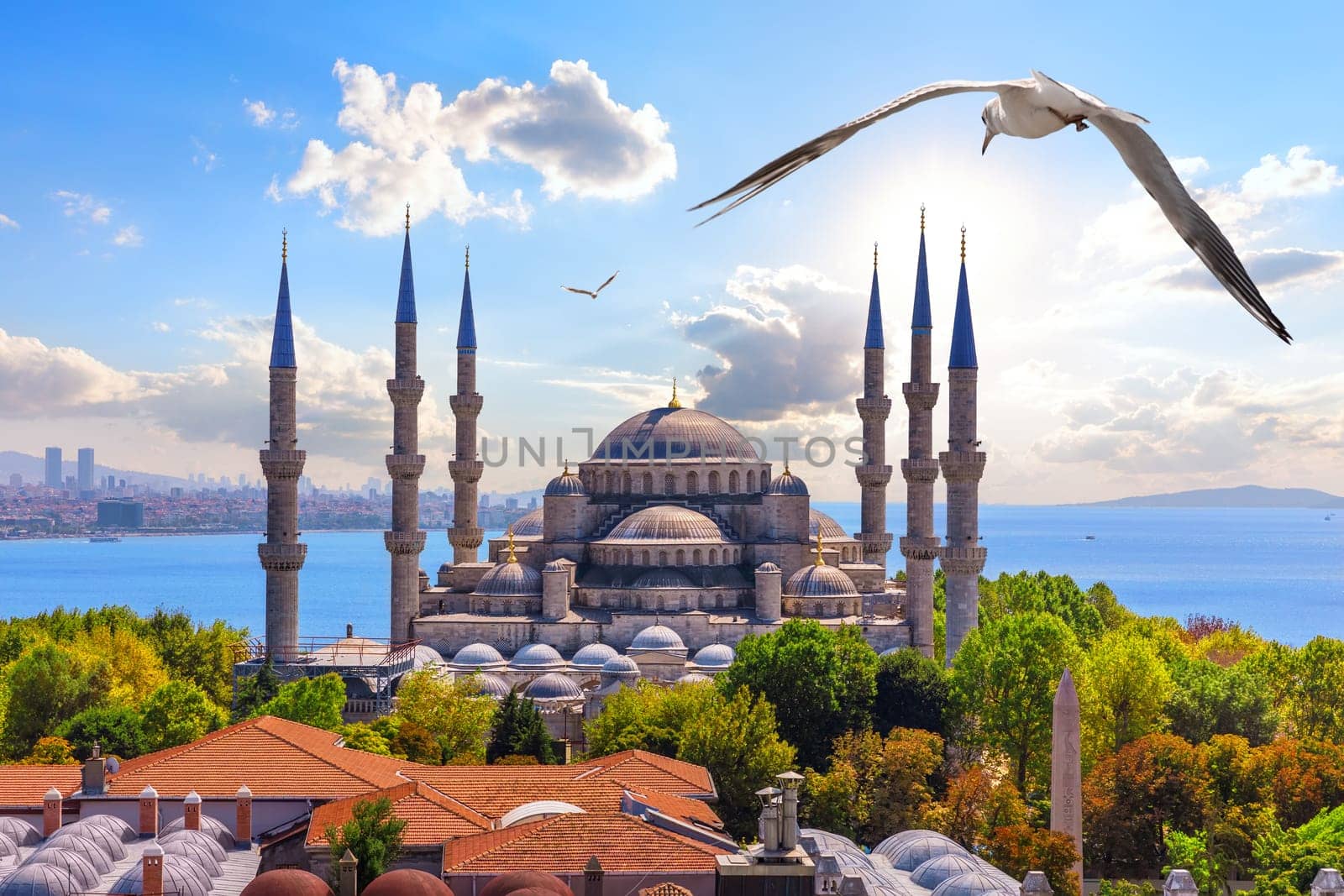 The Blue Mosque in the Golden Horn or Sultan Ahmet Mosque, Istanbul, Turkey.