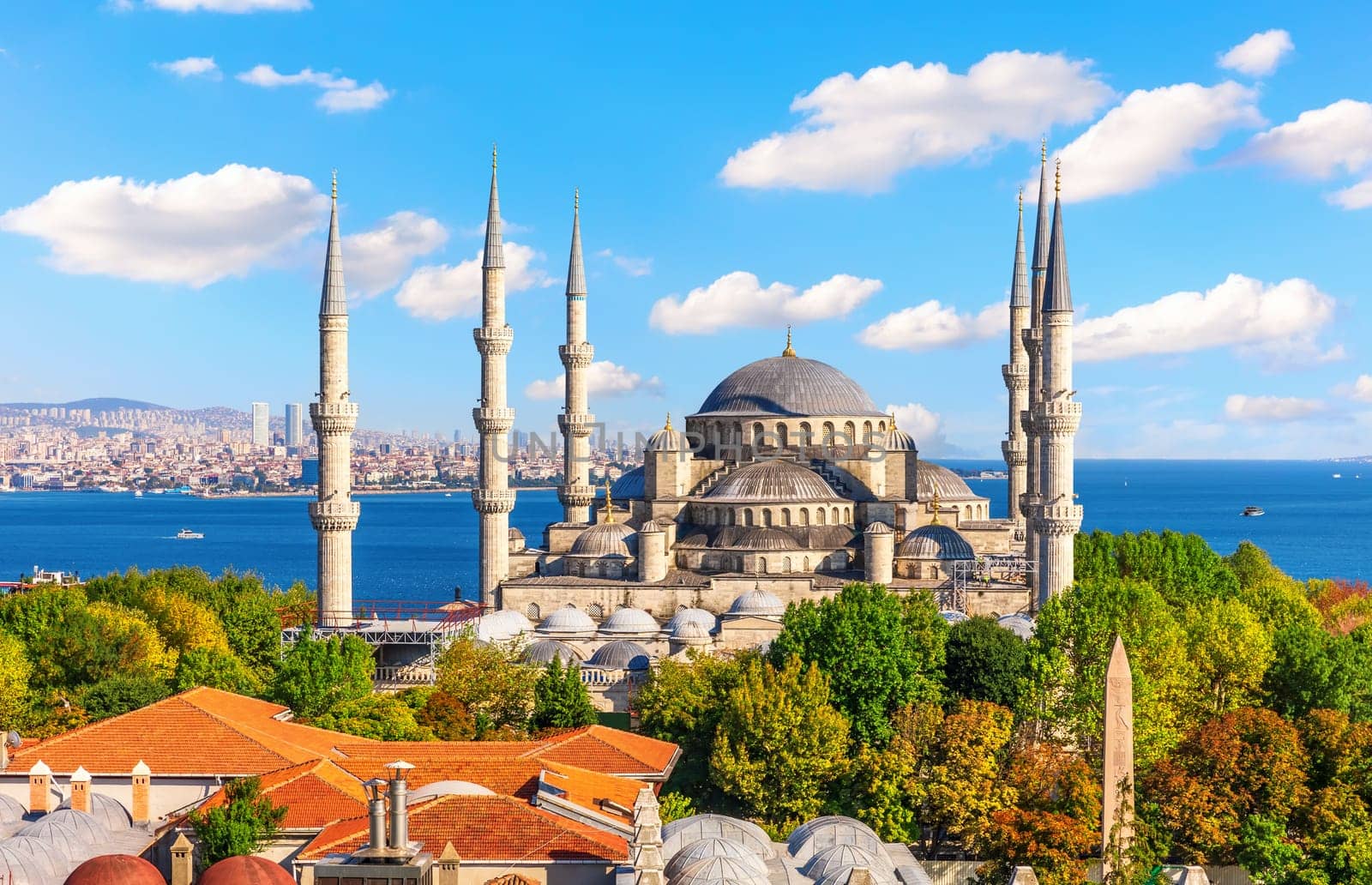 Istanbul roofs by The Blue Mosque or Sultan Ahmet Mosque, Bosphorus, Turkey.