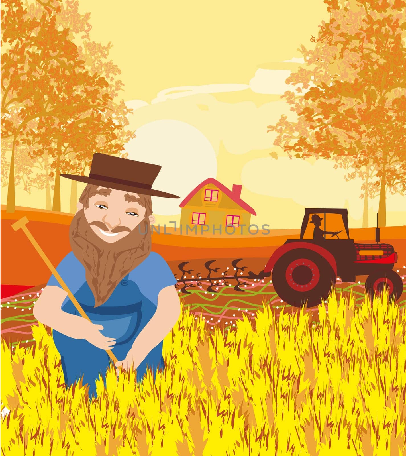 harvest in a sunny day