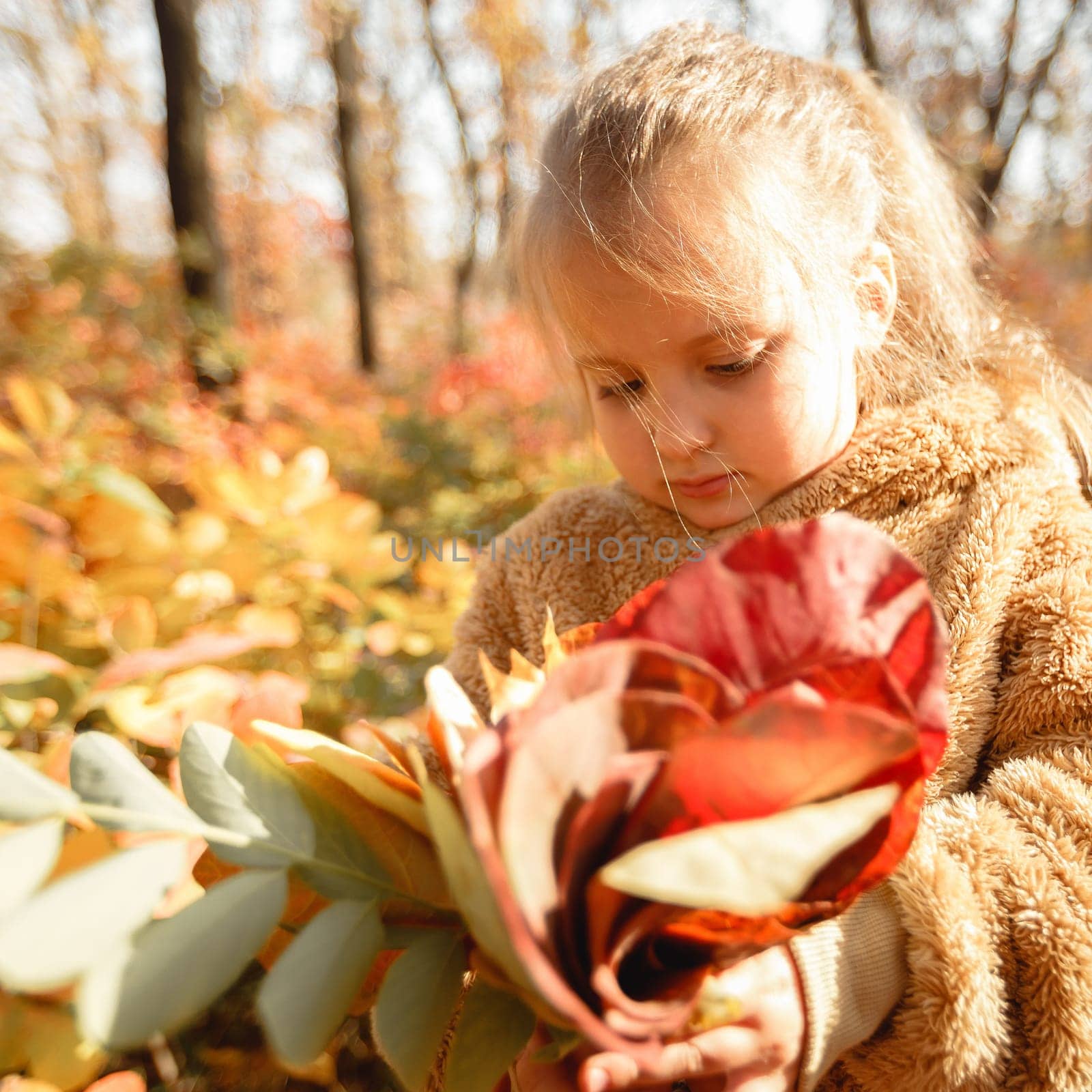 little cute baby girl pick up a bouquet of yellow and red leaves on a sunny autumn day