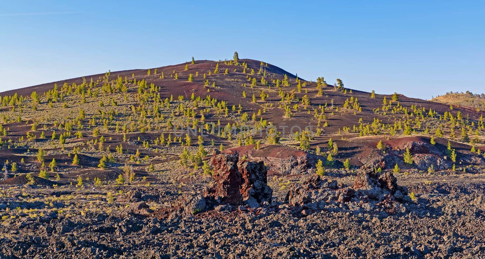 Arid Growth in a Volcanic Landscape in Craters of the Moon National Monument in Idaho