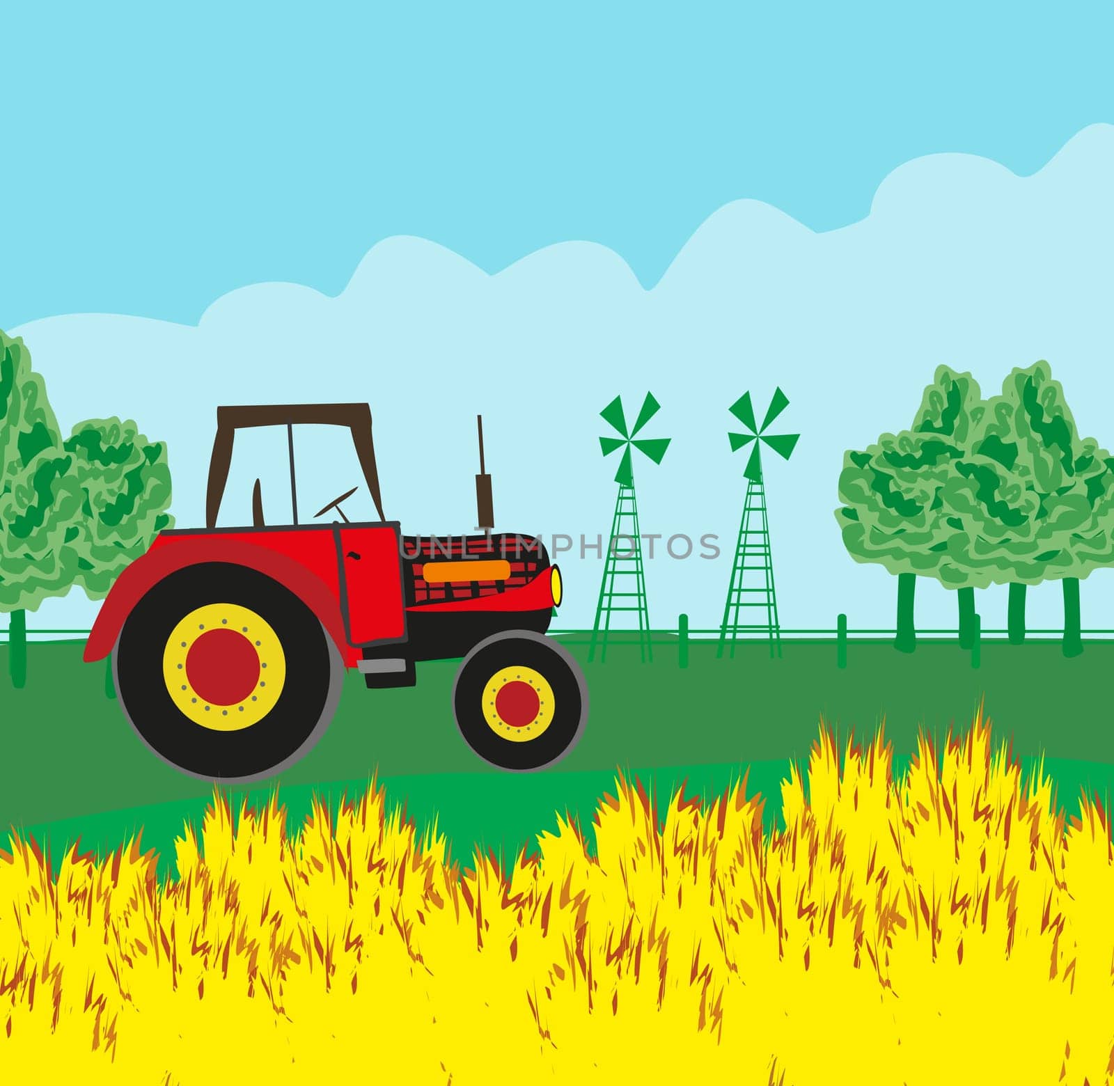 rural landscape