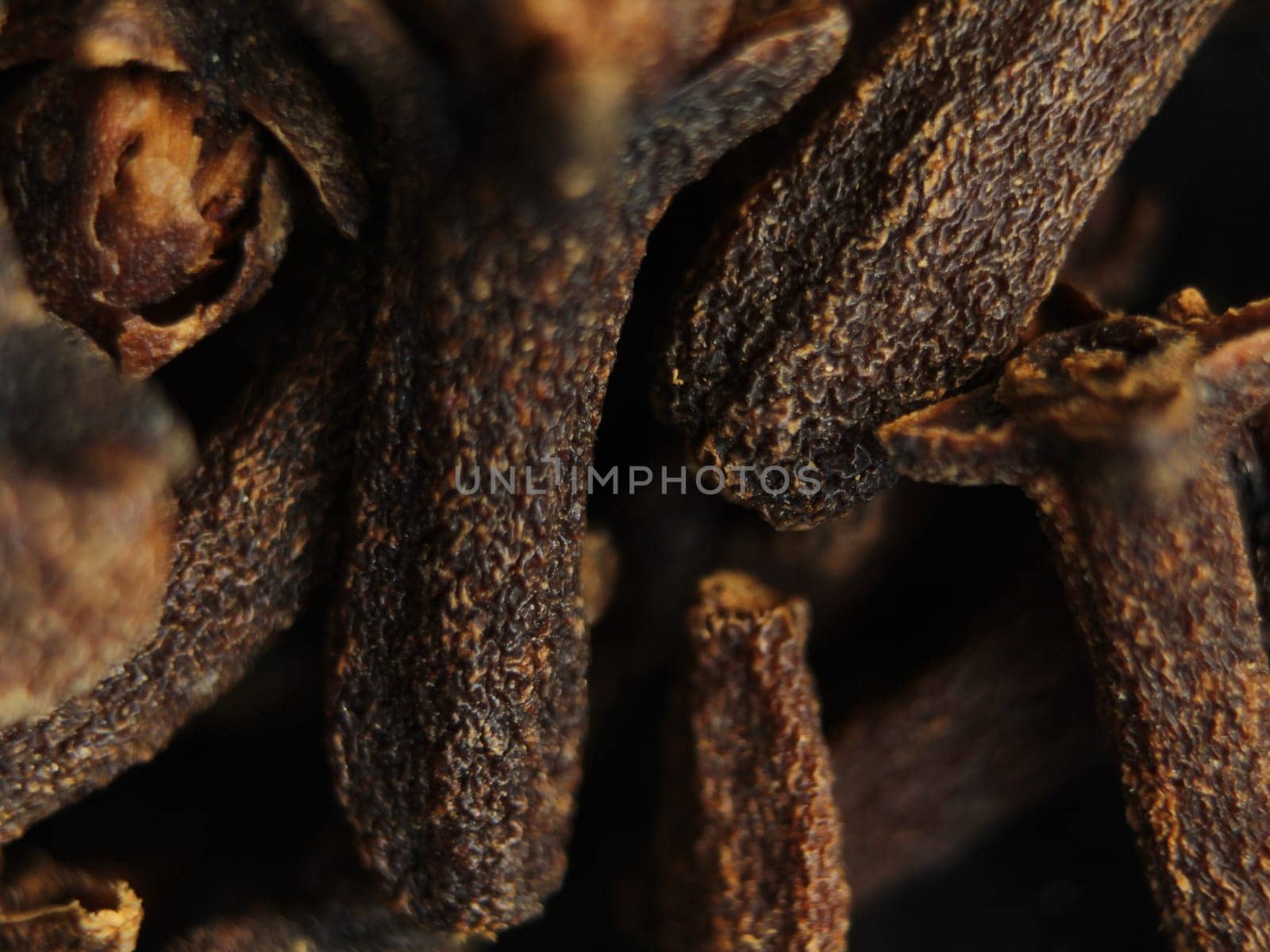 Clove spices aromas flavors natural plant food kitchen