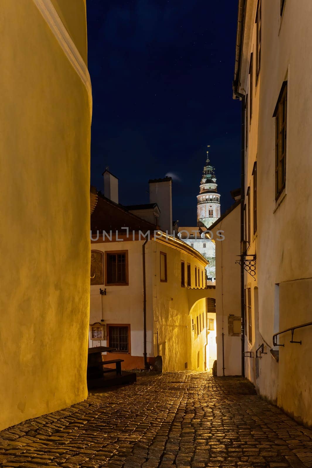 Night view of the old street in Cesky Krumlov at night. The castle tower is in the background. Vertically.