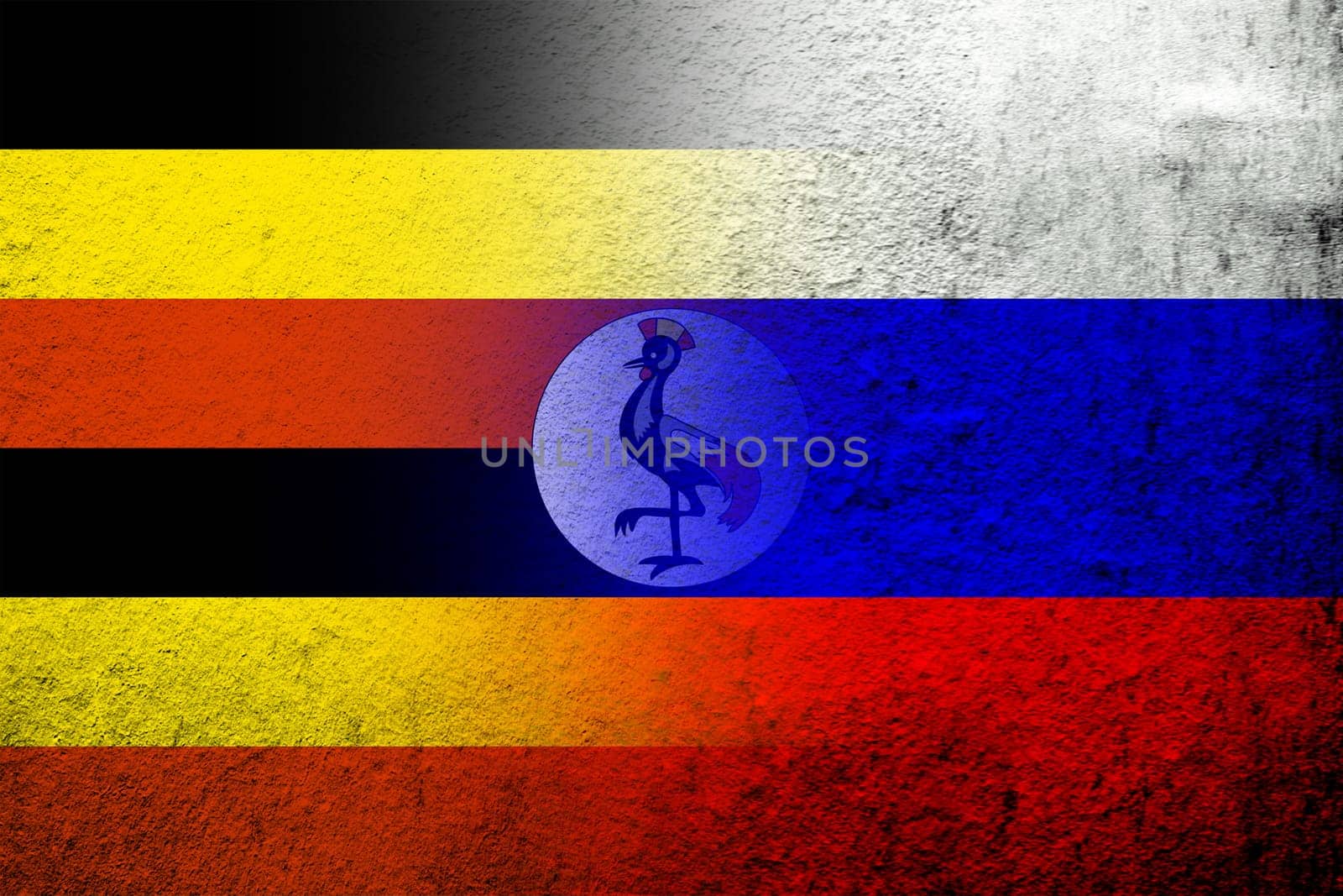 National flag of Russian Federation with The Republic of Uganda National flag. Grunge background