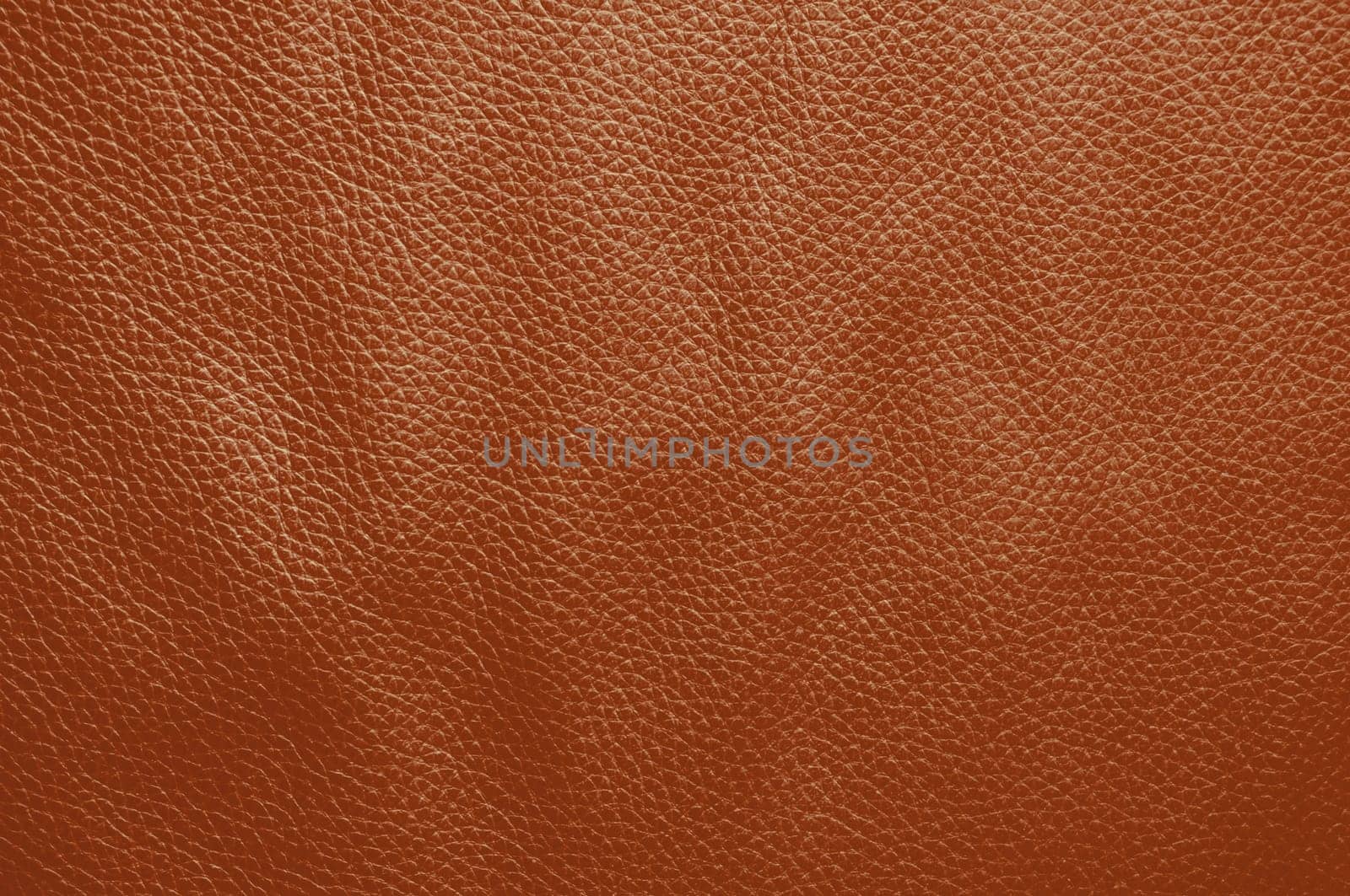 Empty natural brown red leather texture