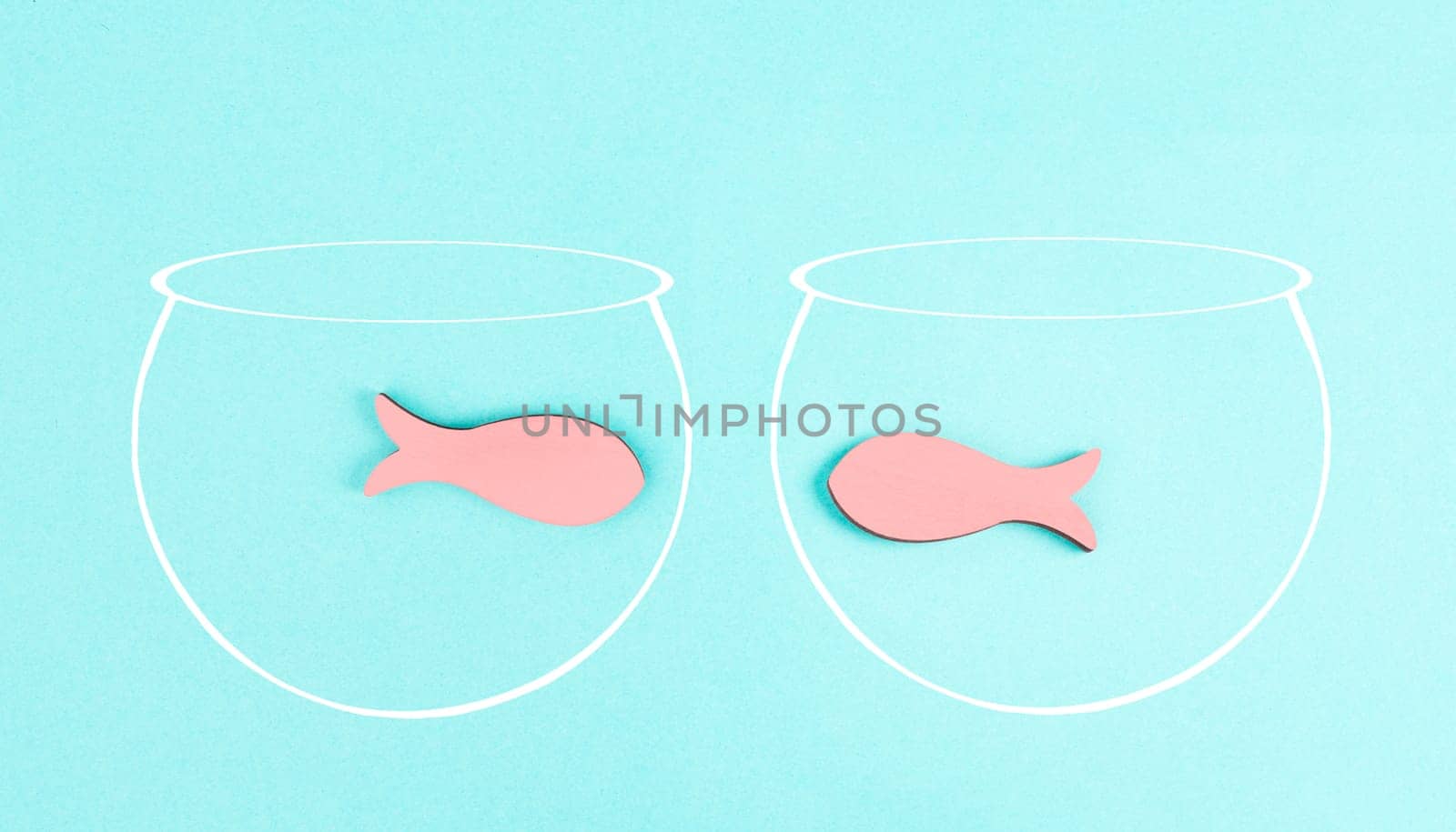 Two little fish in separated aquariums looking at each other, freedom and friendship concept, having a meeting and conversation, problem solving, helping