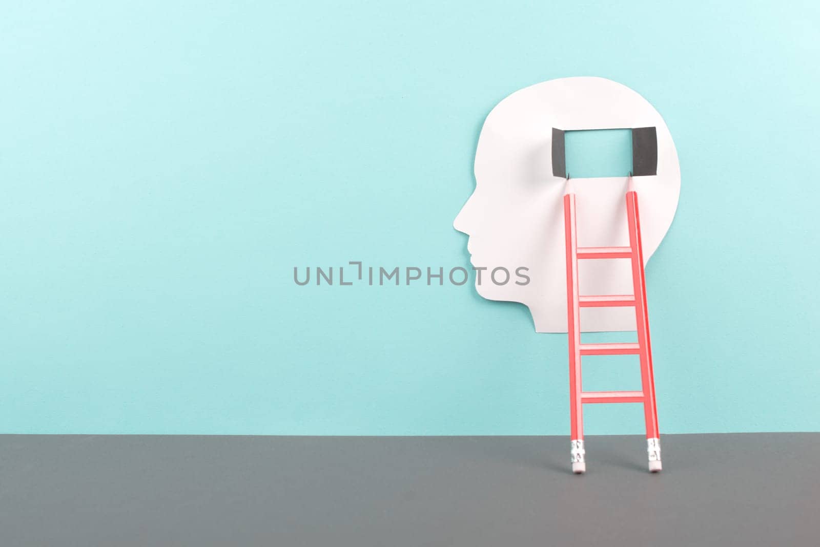 Silhouette of a man, window to the brain, ladder of success, open minded, brainstorming for ideas, disorder and psychology concept