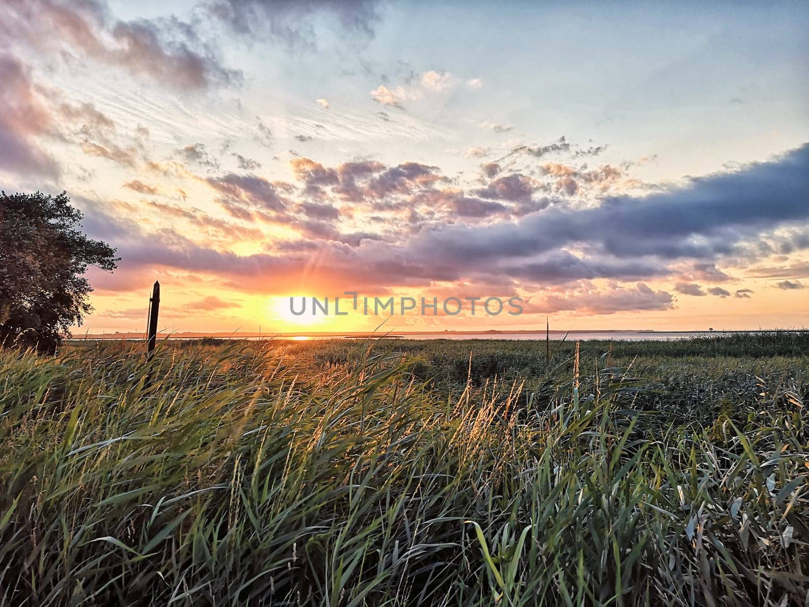 Barther Bodden lagoon in the sunset, Fischland-Darss, Mecklenburg-West Pomerania, Germany