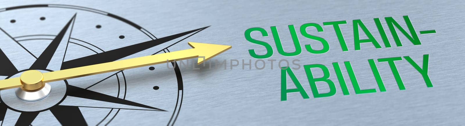 Compass needle pointing to the words Sustainability - 3d rendering