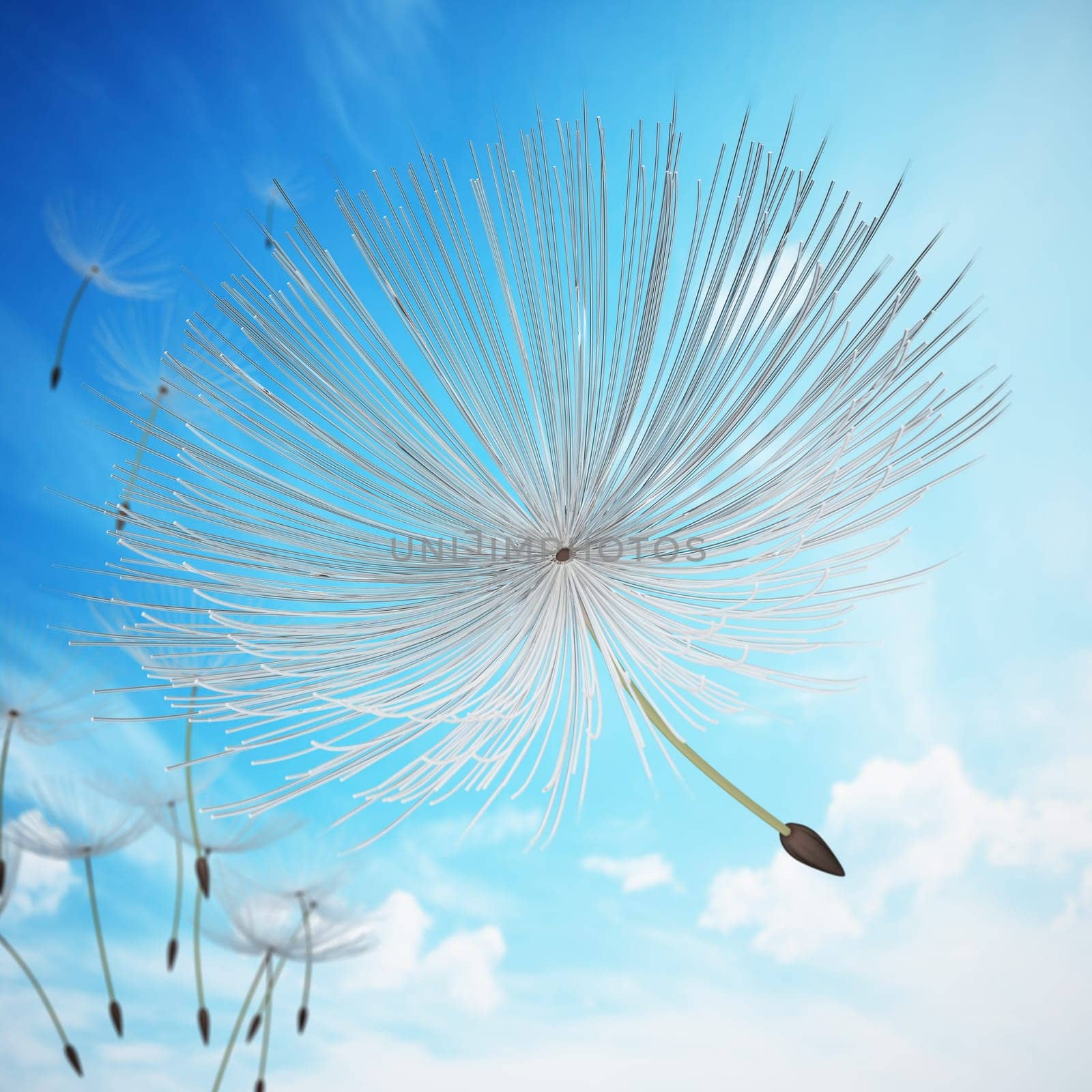Dandelion leaves flying with the wind. 3D illustration.